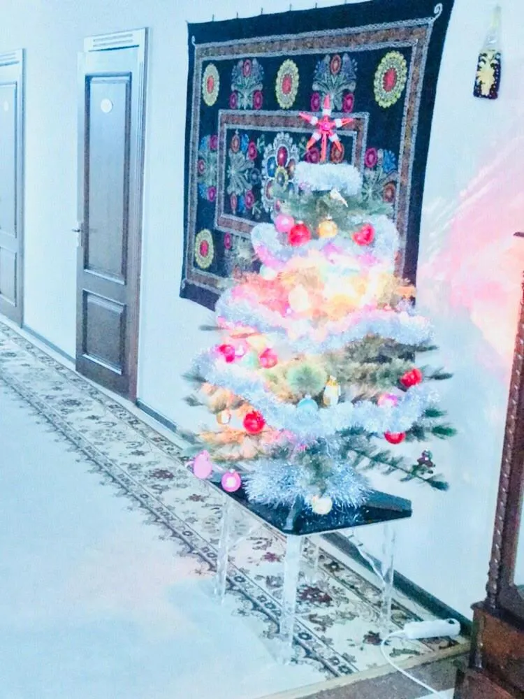 Samarkand Dream Hotel