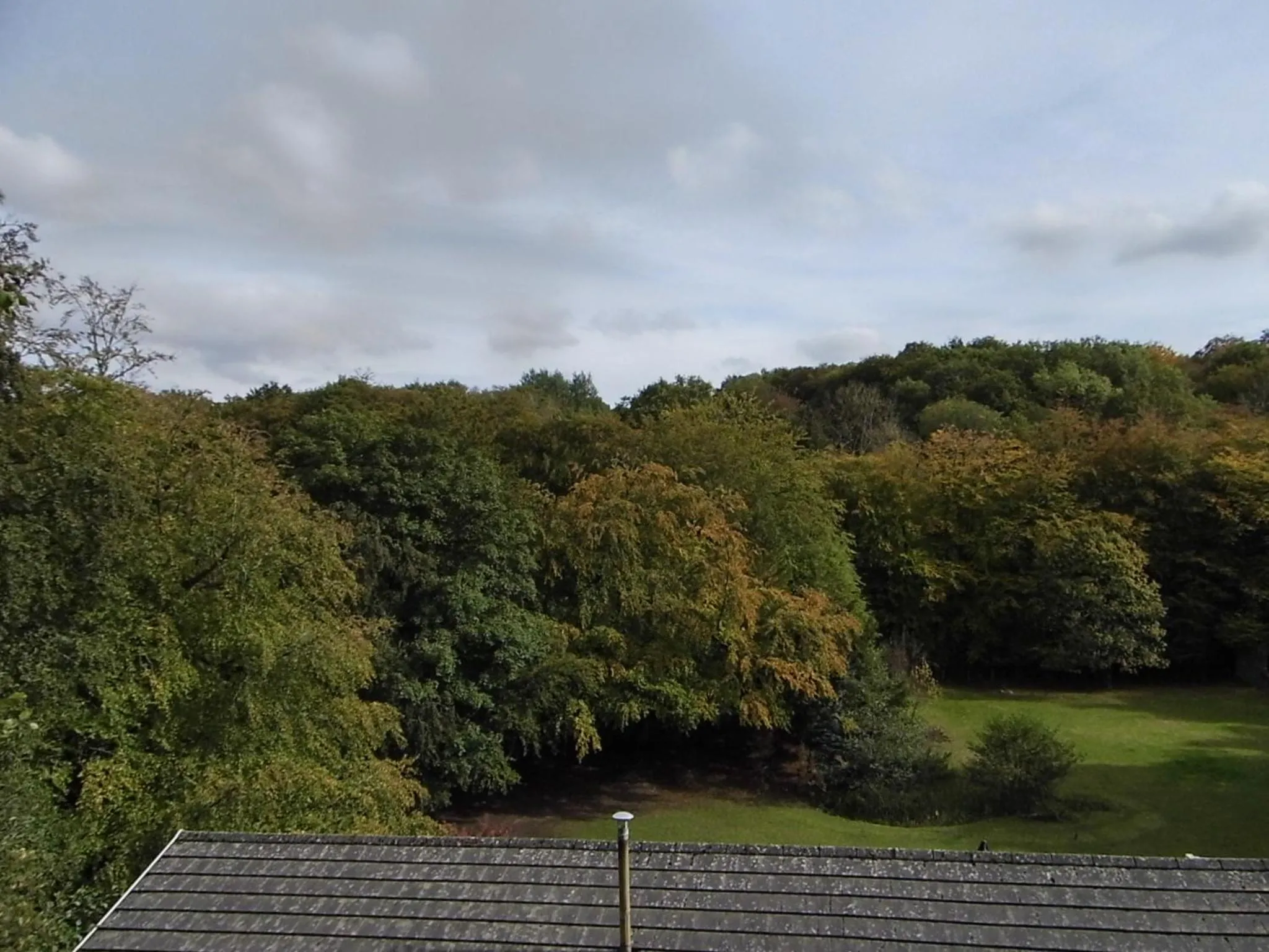 Garden view in The Mill at Glynhir