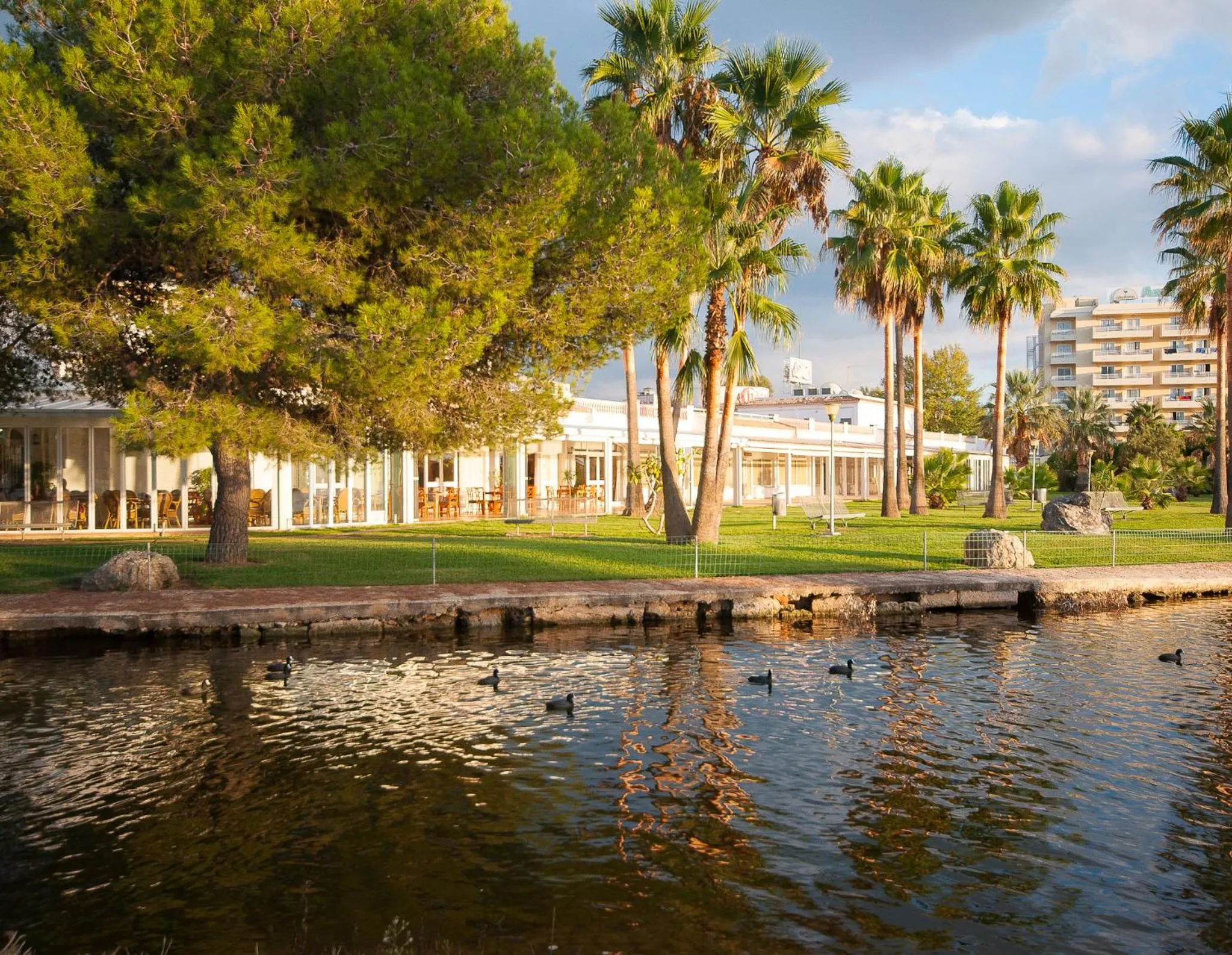 Natural landscape in Universal Aparthotel Elisa