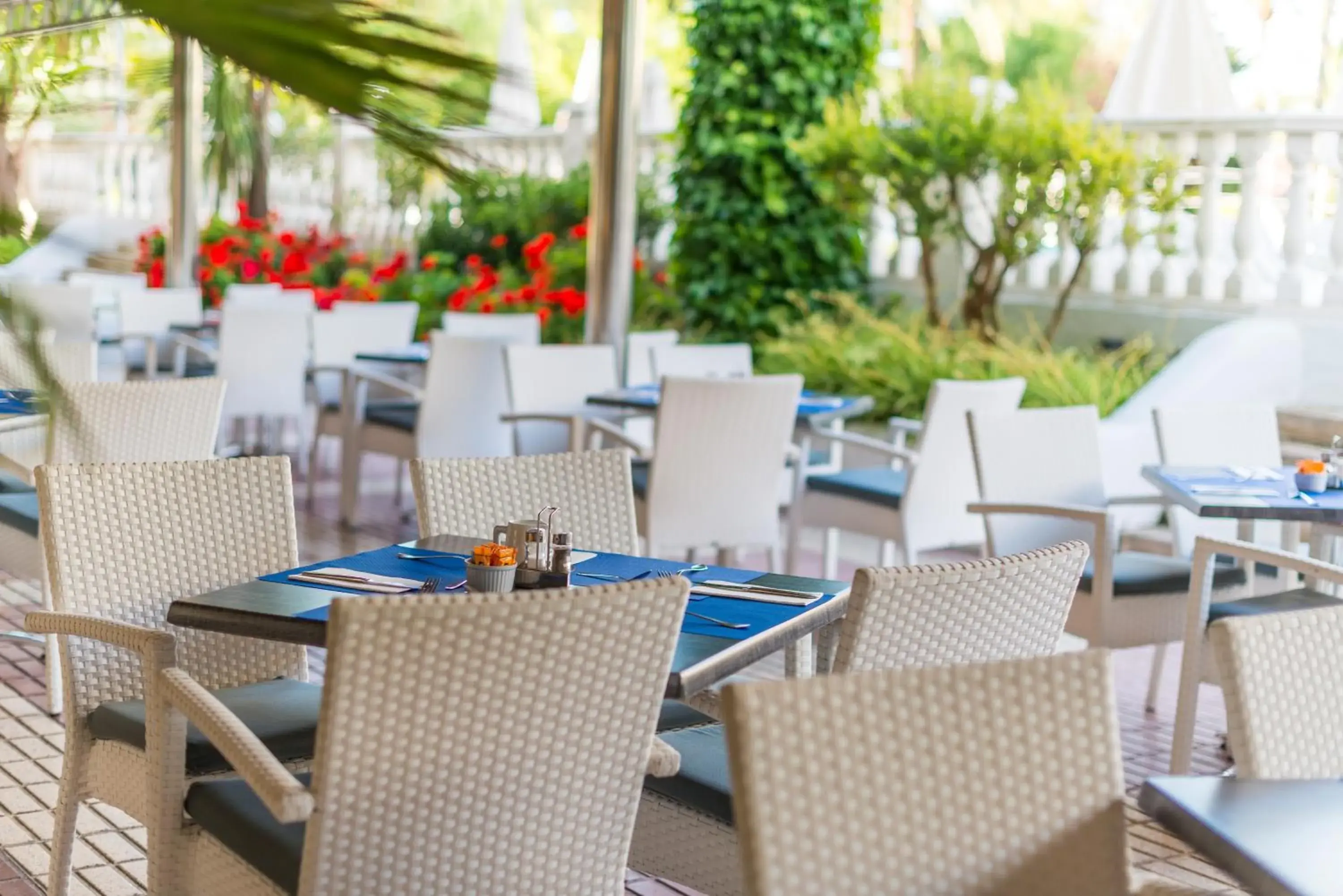 Lounge or bar in Apartamentos Siesta I Lounge or bar in Apartamentos Siesta I