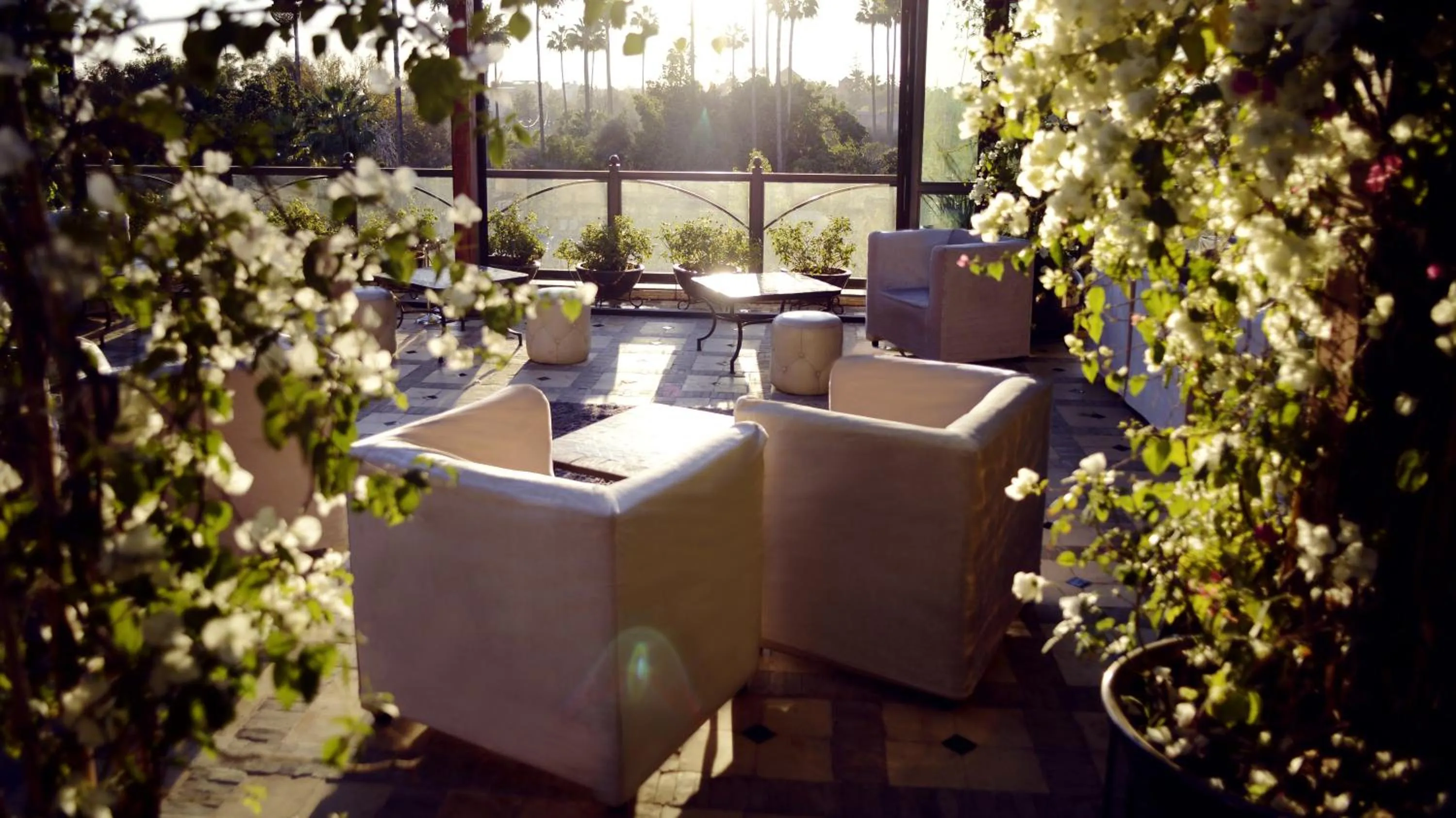Balcony/Terrace in Riad Wow