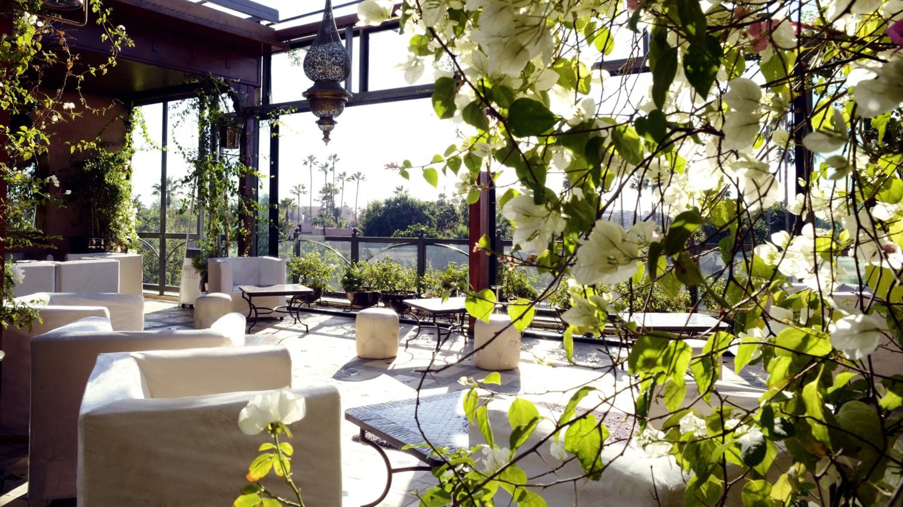 Balcony/Terrace in Riad Wow