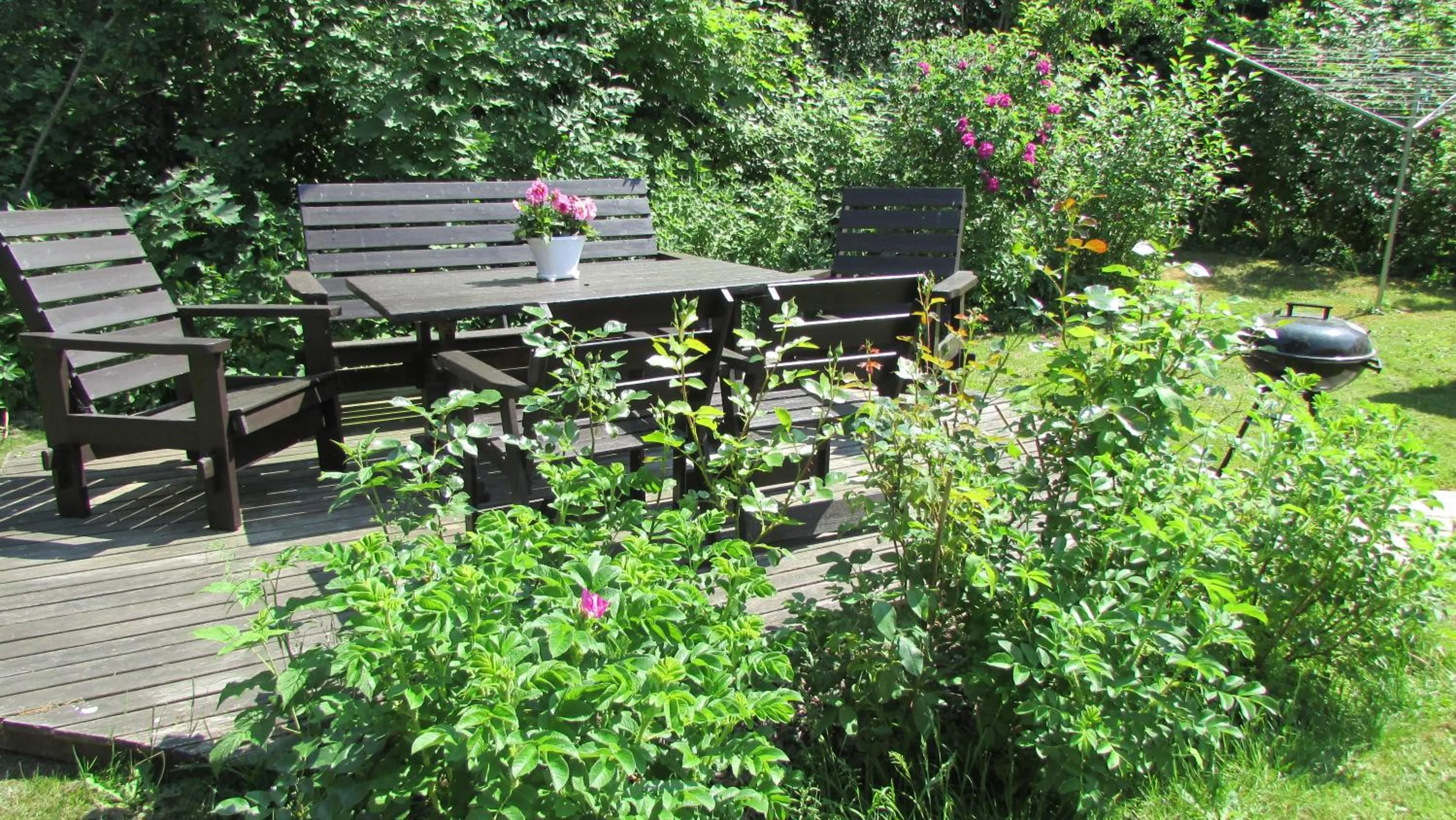 Garden in DeLay's Guest House
