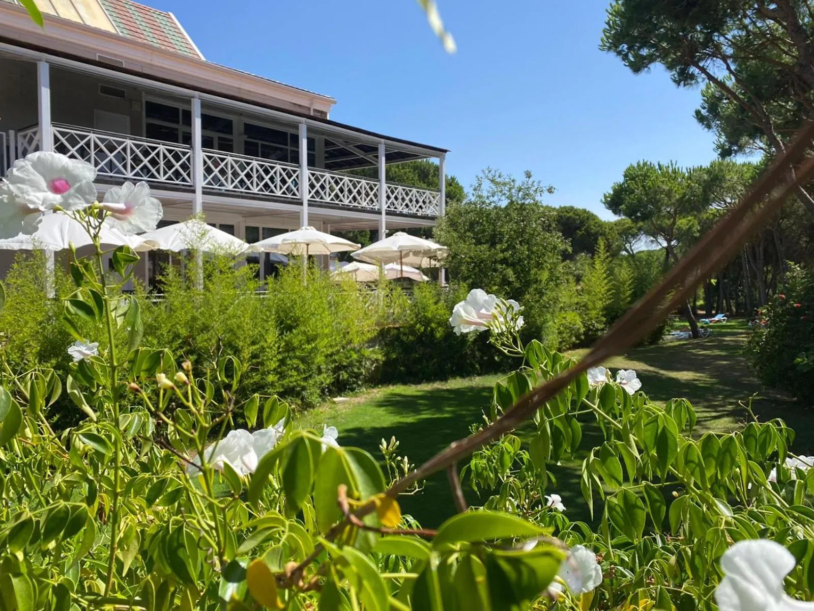 Property building in Hotel Nuevo Portil Golf