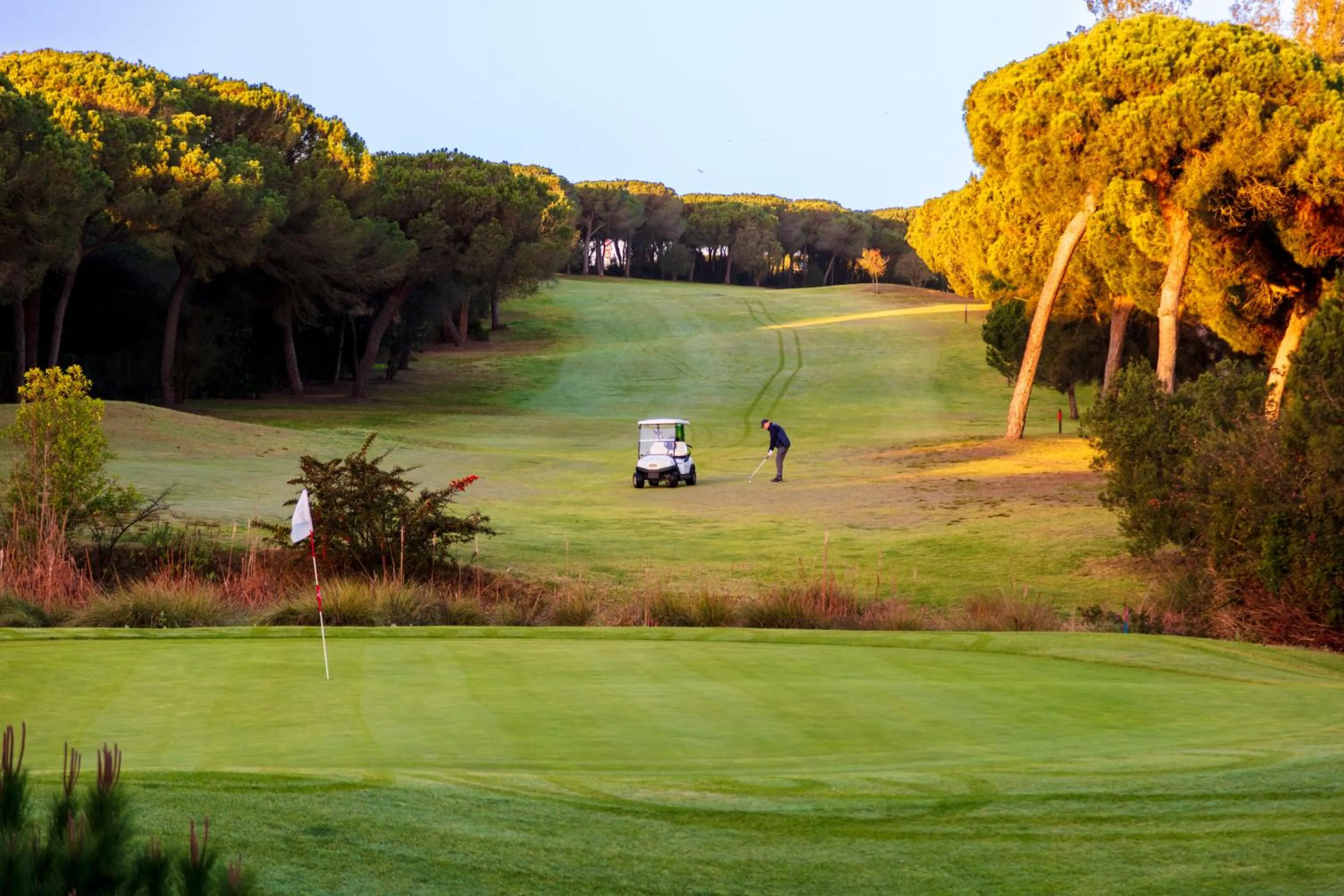 Garden in Hotel Nuevo Portil Golf