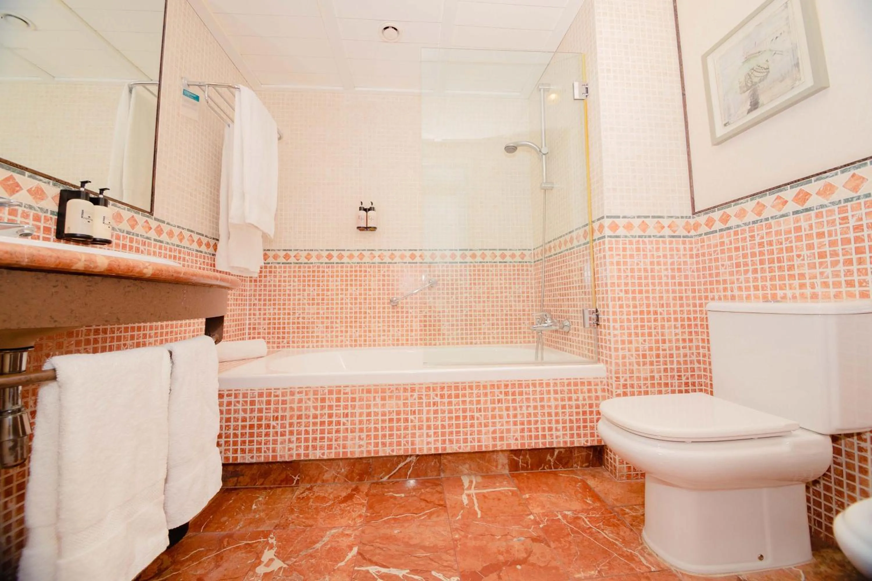 Toilet in Hotel Nuevo Portil Golf