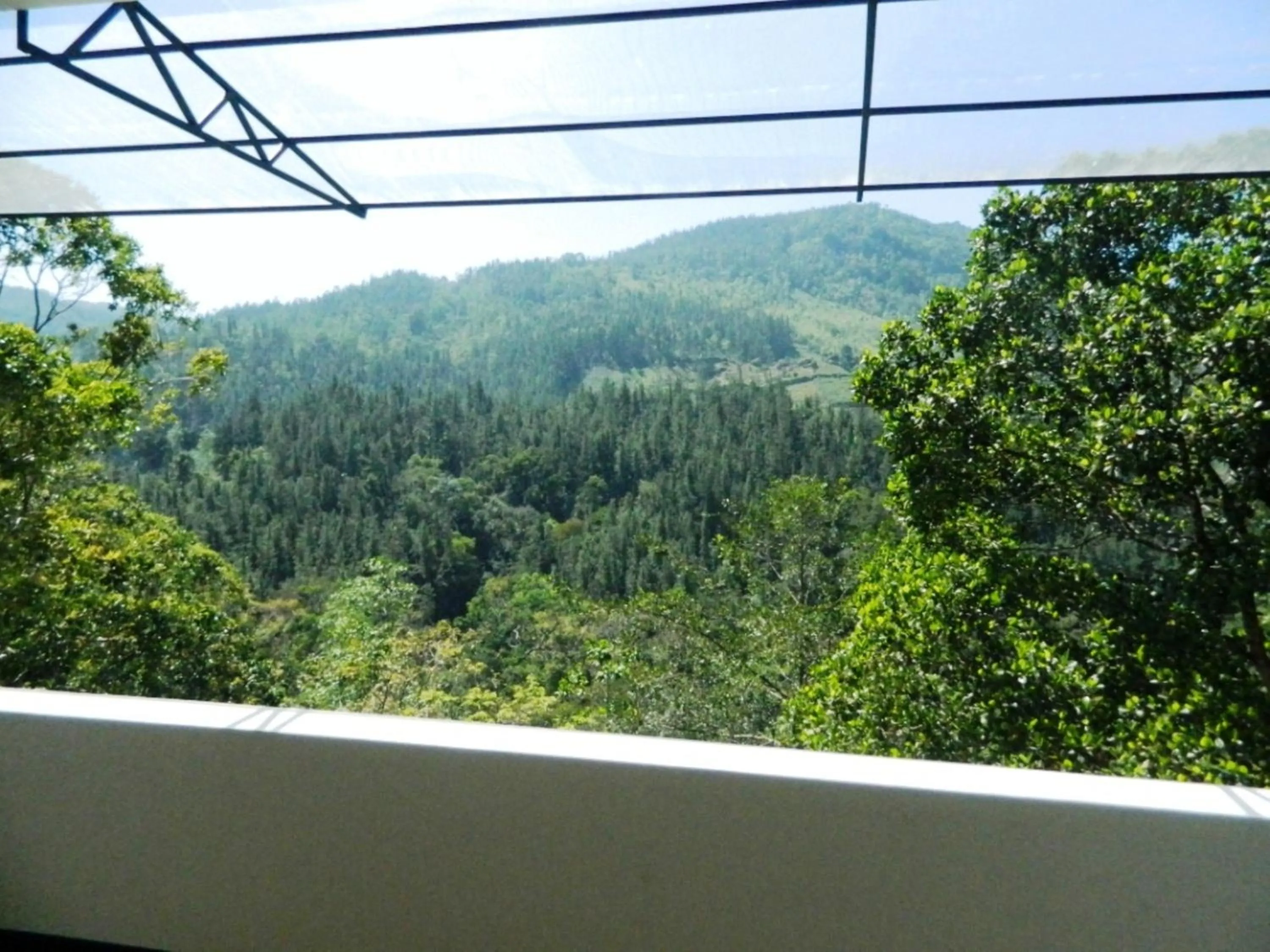 Mountain view in Birds Paradise Hotel