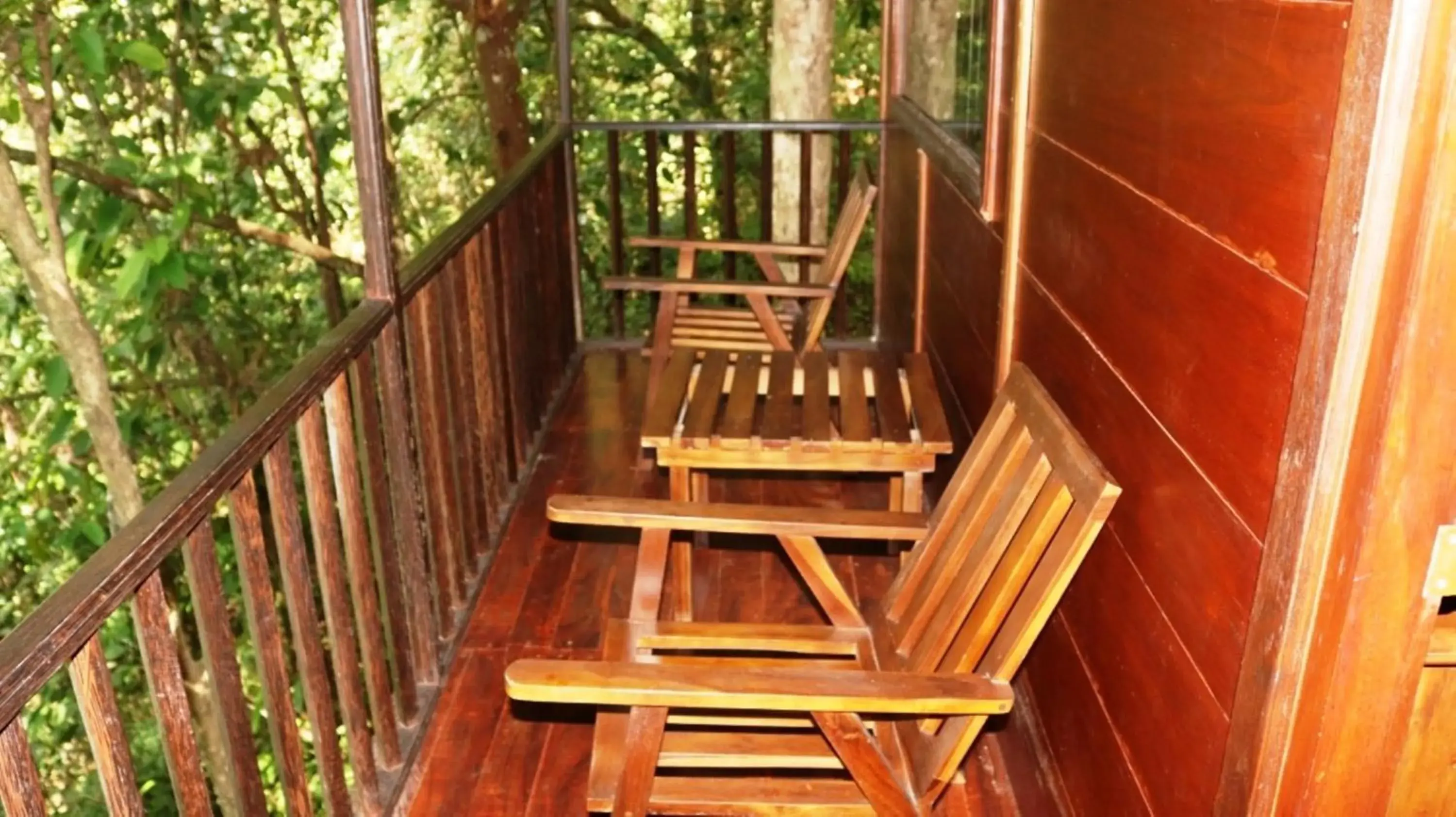 Deluxe Double Room in Birds Paradise Hotel Deluxe Double Room in Birds Paradise Hotel