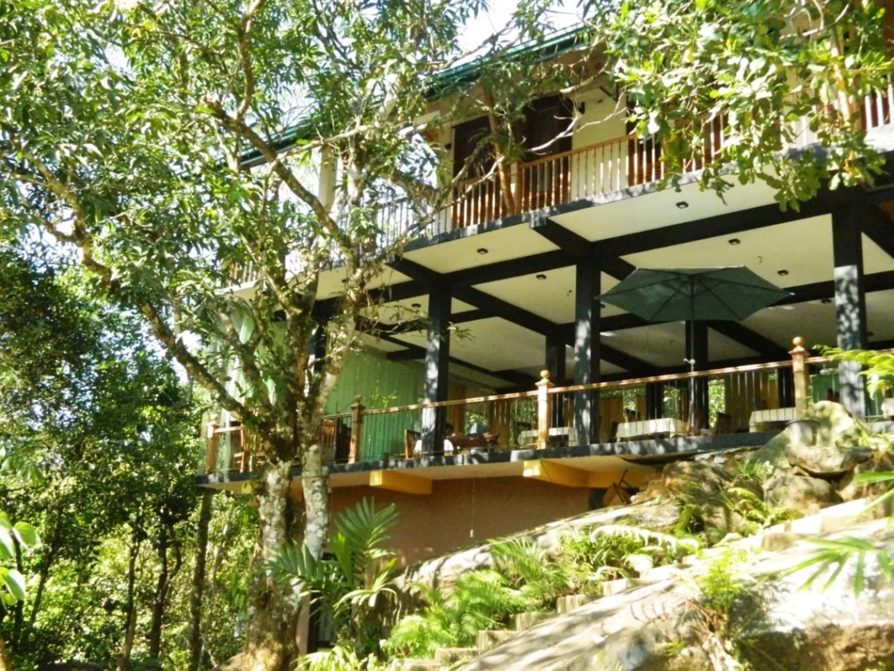 Restaurant/places to eat in Birds Paradise Hotel