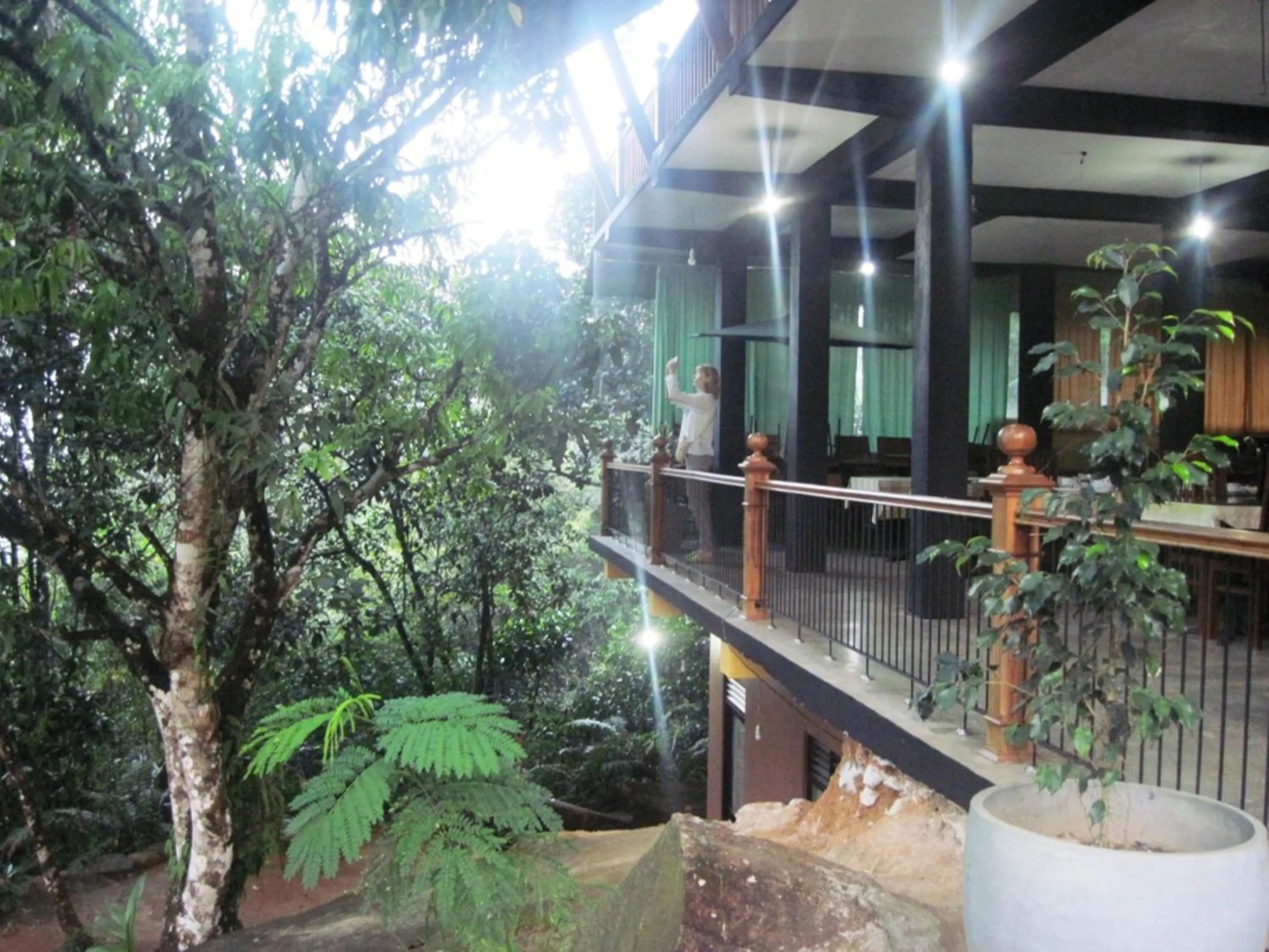 Guests in Birds Paradise Hotel