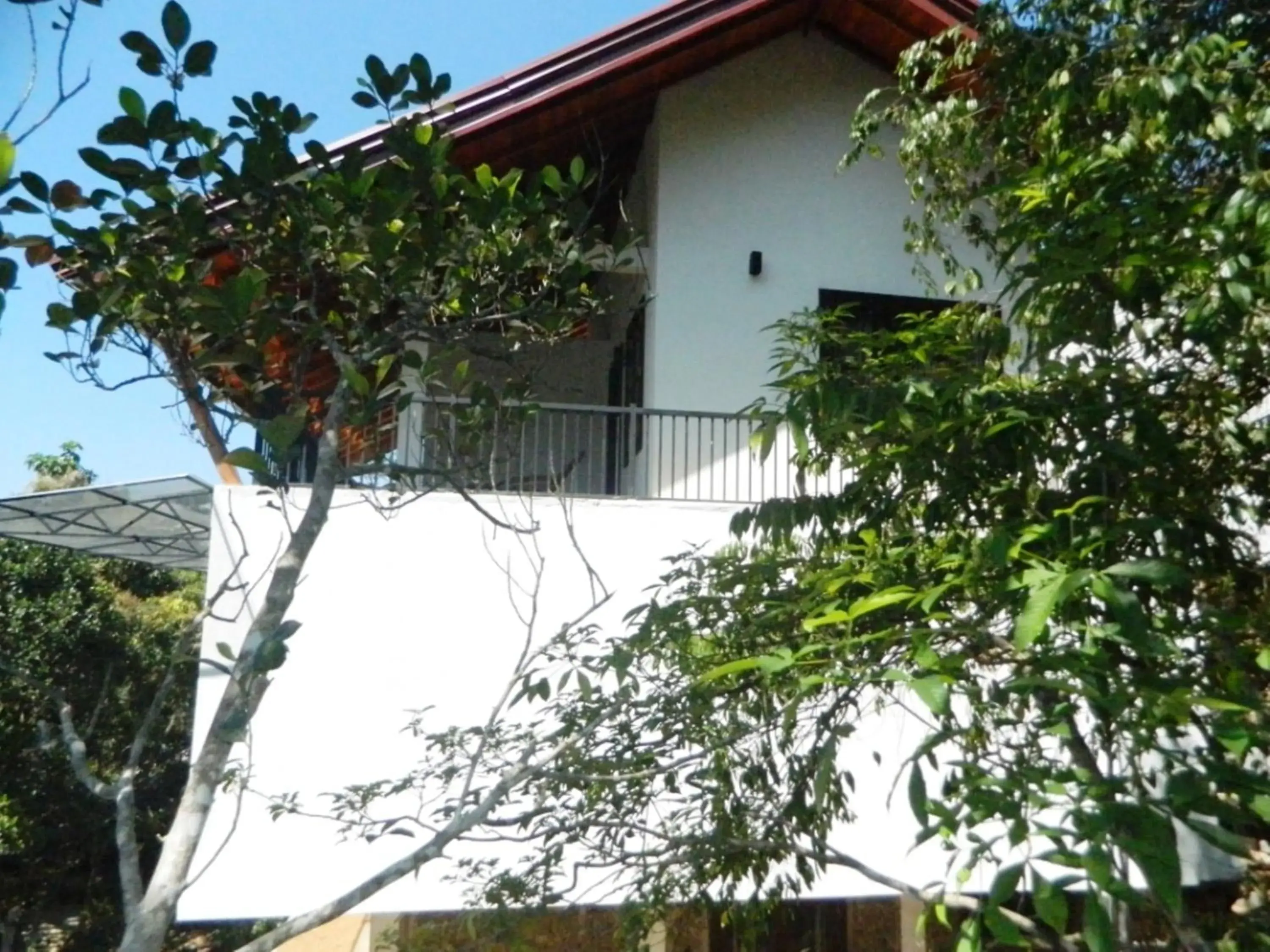 Deluxe Twin Room - single occupancy in Birds Paradise Hotel Deluxe Twin Room - single occupancy in Birds Paradise Hotel