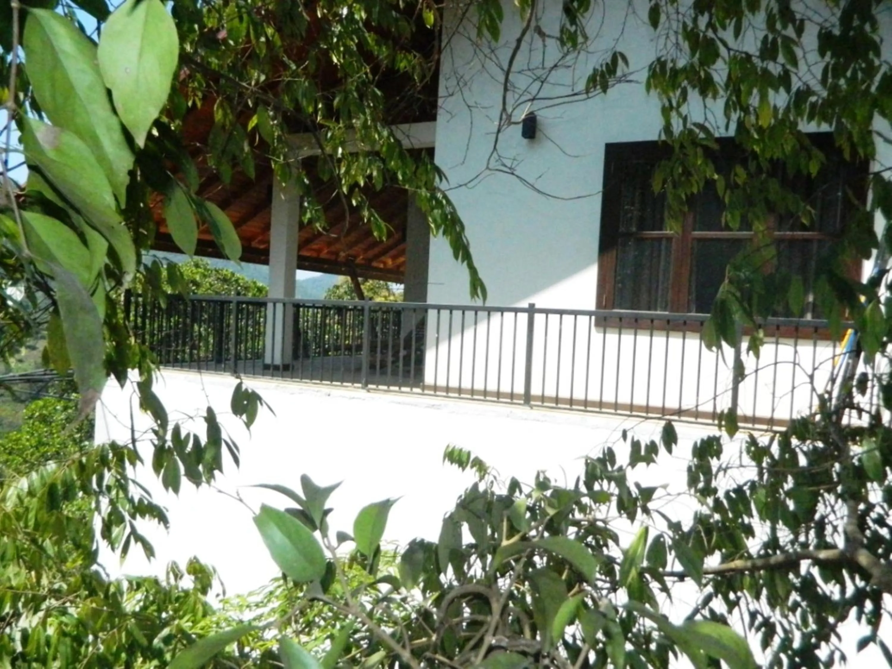 Balcony/Terrace in Birds Paradise Hotel