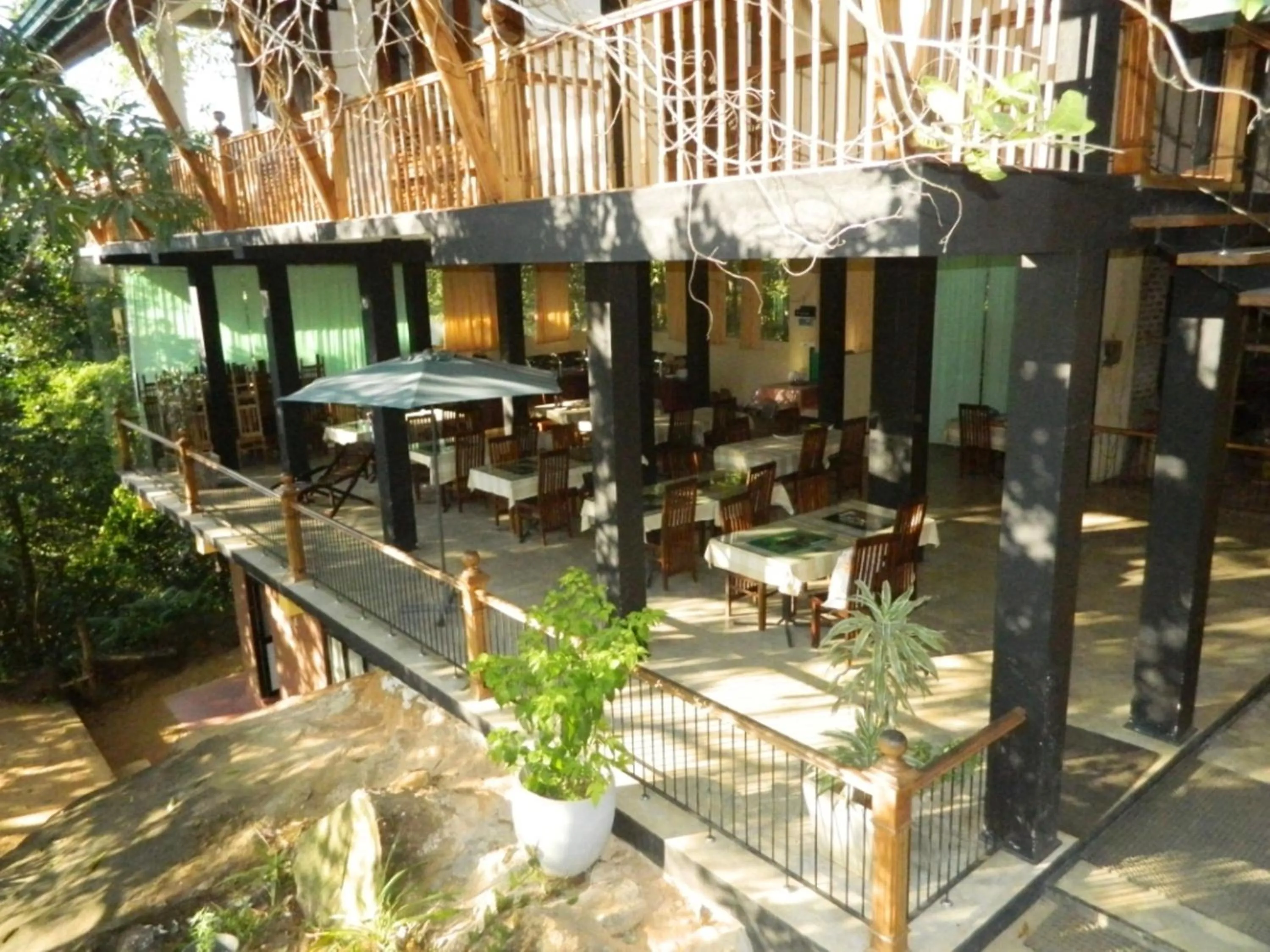 Restaurant/places to eat in Birds Paradise Hotel