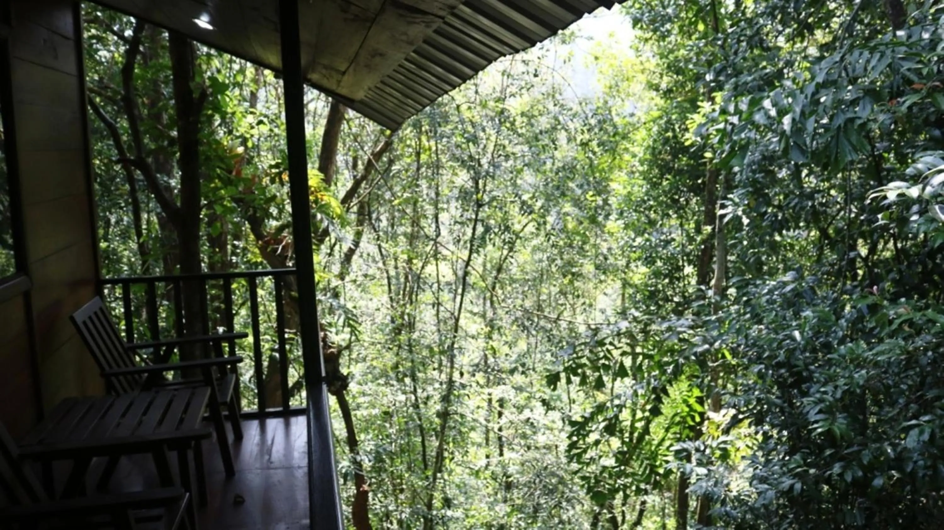 Balcony/Terrace in Birds Paradise Hotel