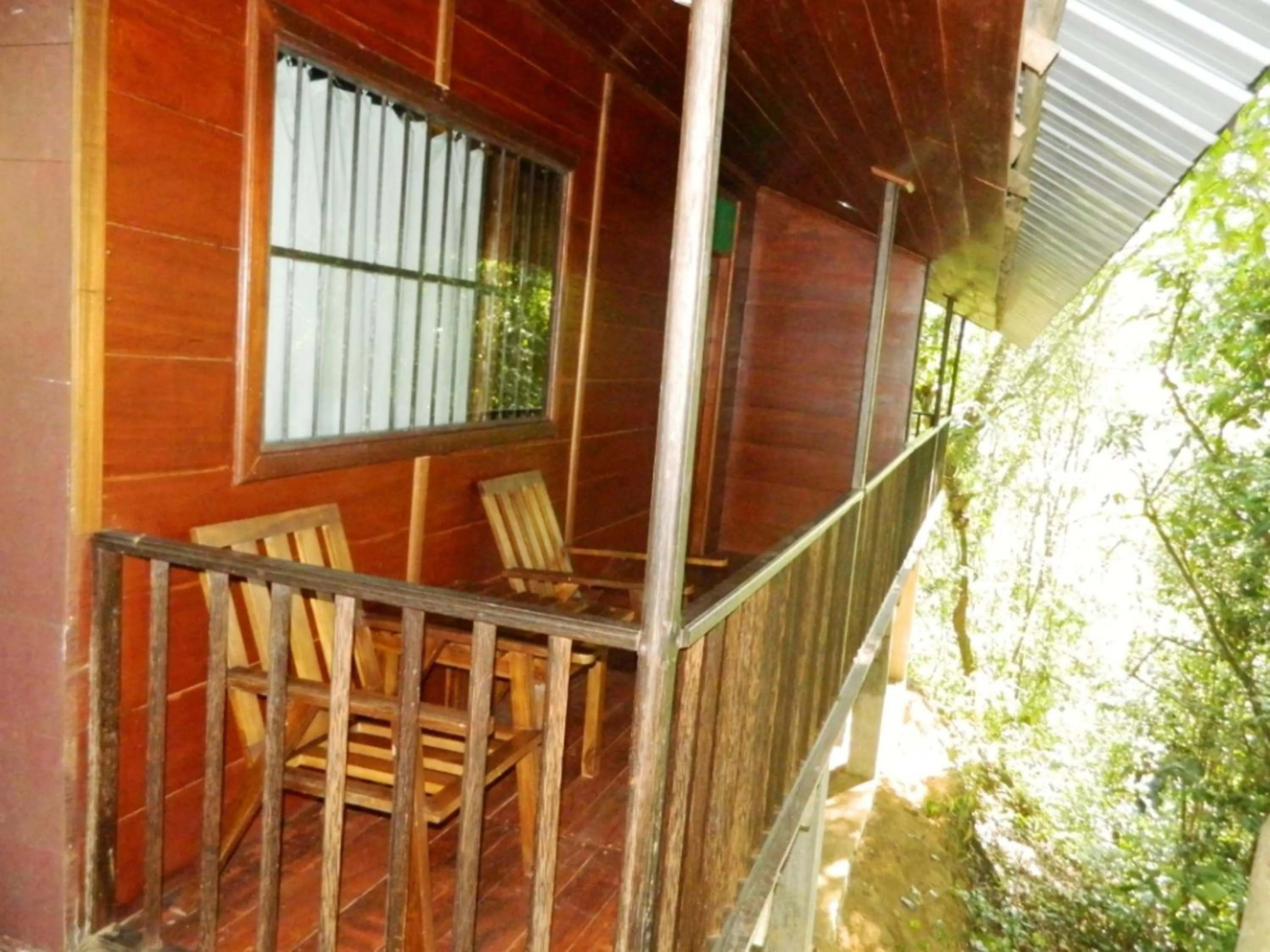 Balcony/Terrace in Birds Paradise Hotel