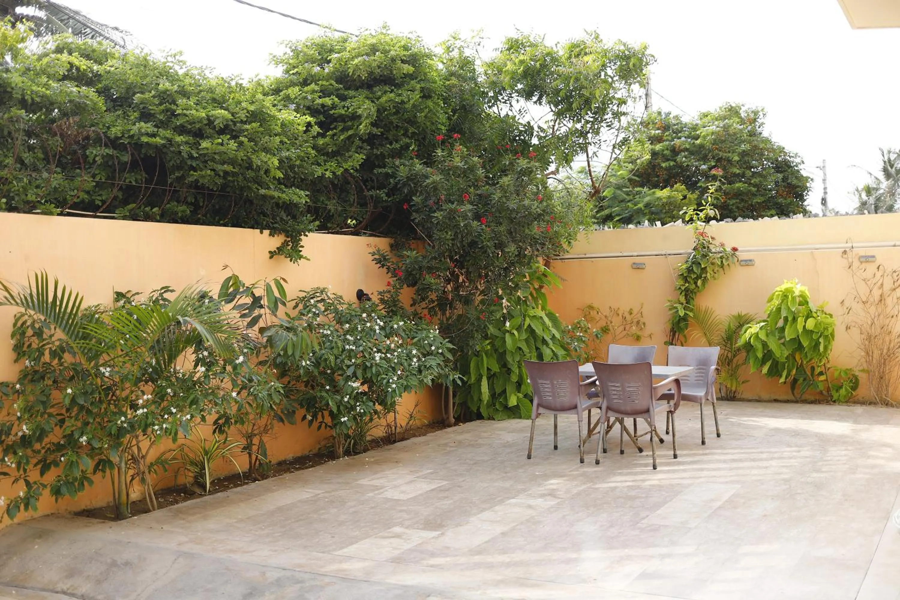 Garden in Waypoint Hotel