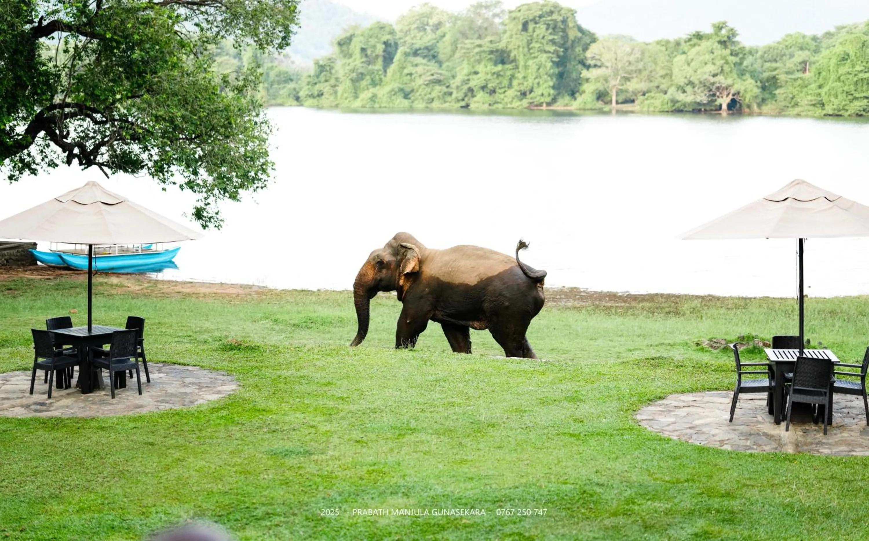 Natural landscape in Mapakada Village - Mahiyanganaya