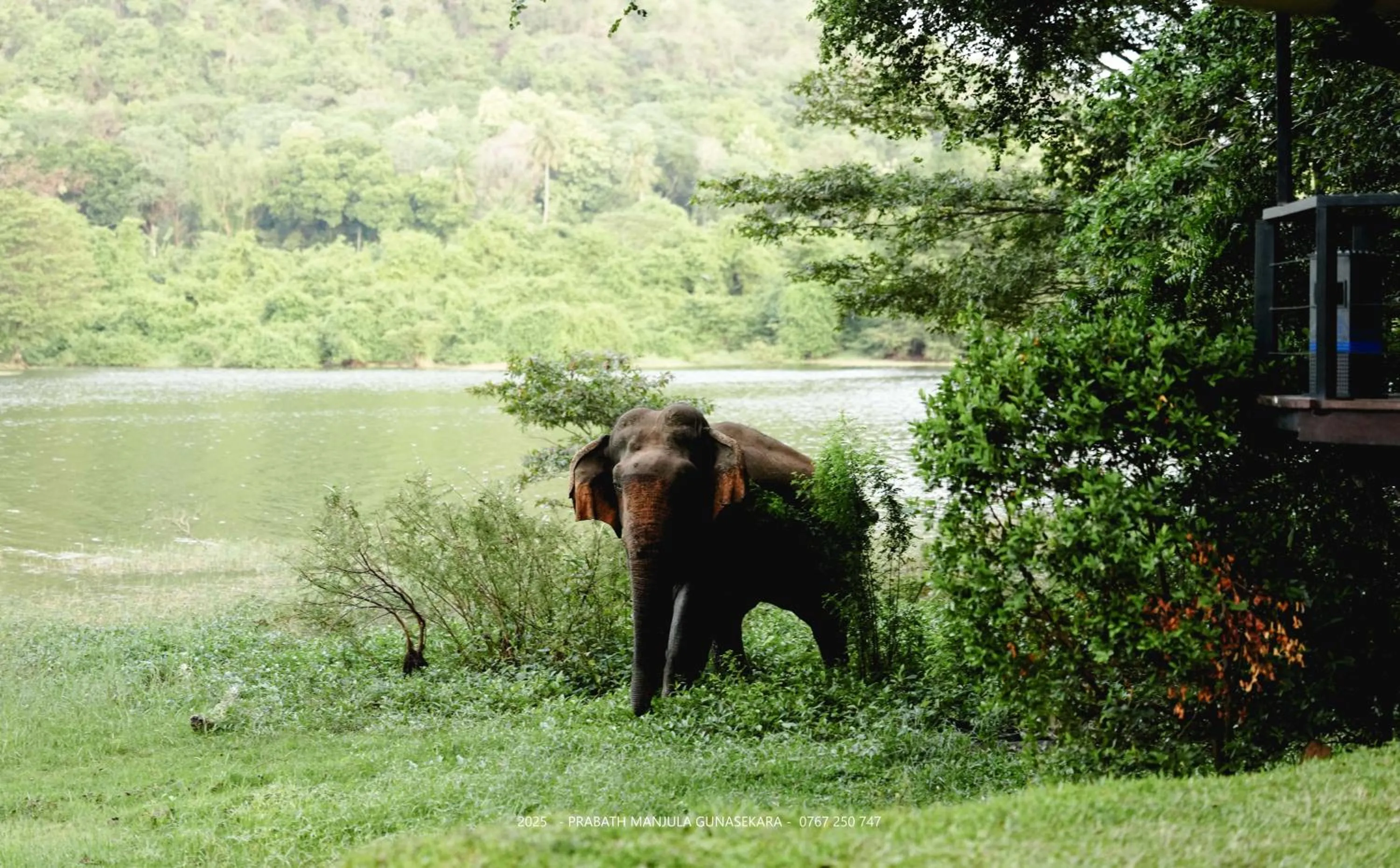 Natural landscape in Mapakada Village - Mahiyanganaya