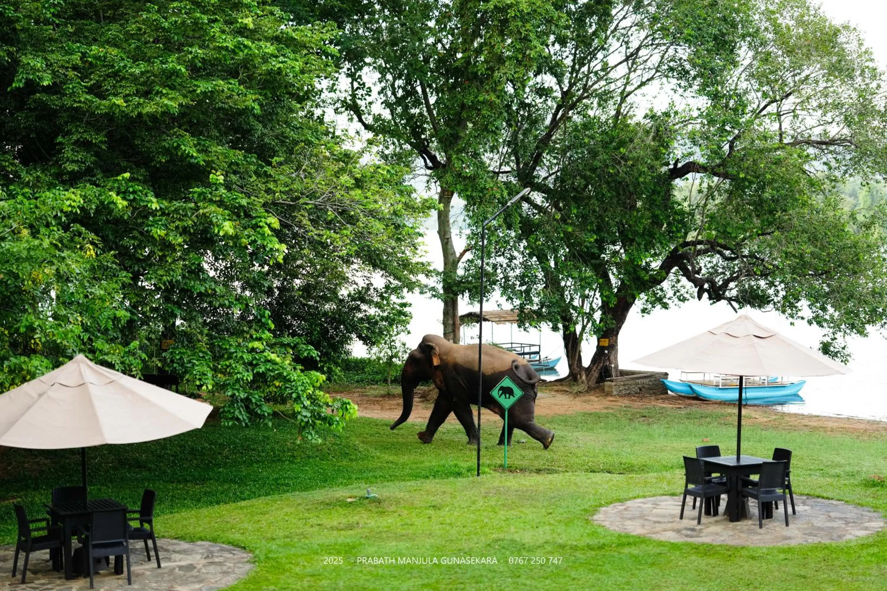 Natural landscape in Mapakada Village - Mahiyanganaya