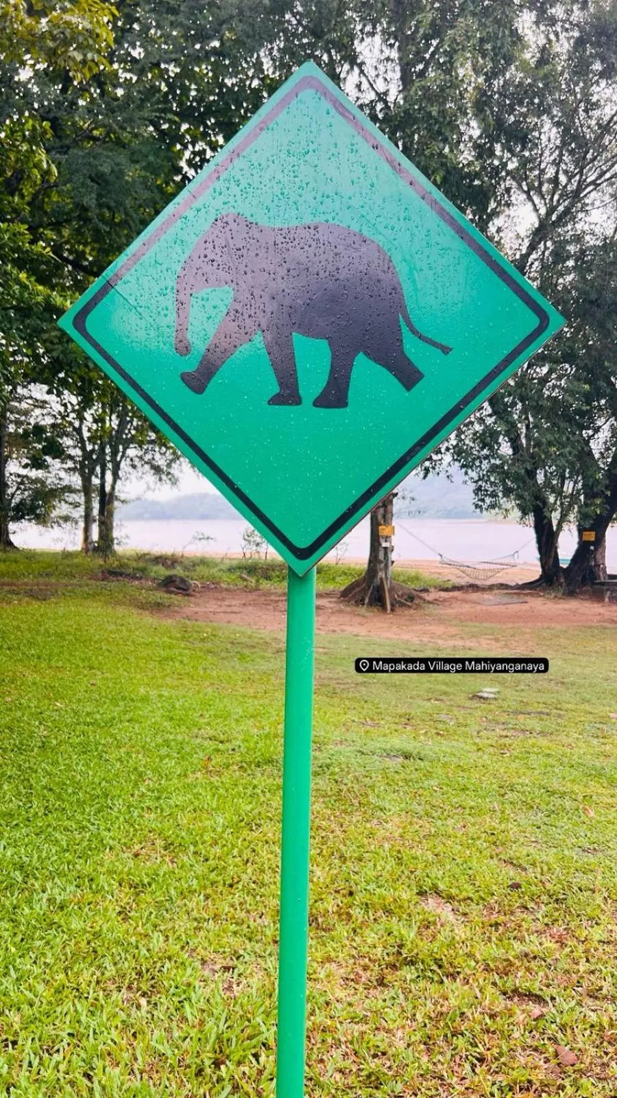 Animals in Mapakada Village - Mahiyanganaya