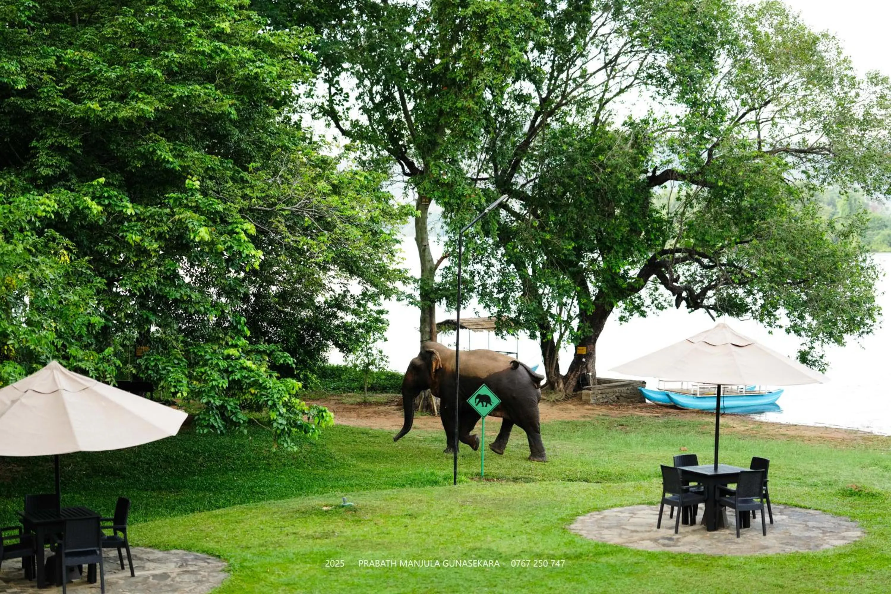 Natural landscape in Mapakada Village - Mahiyanganaya