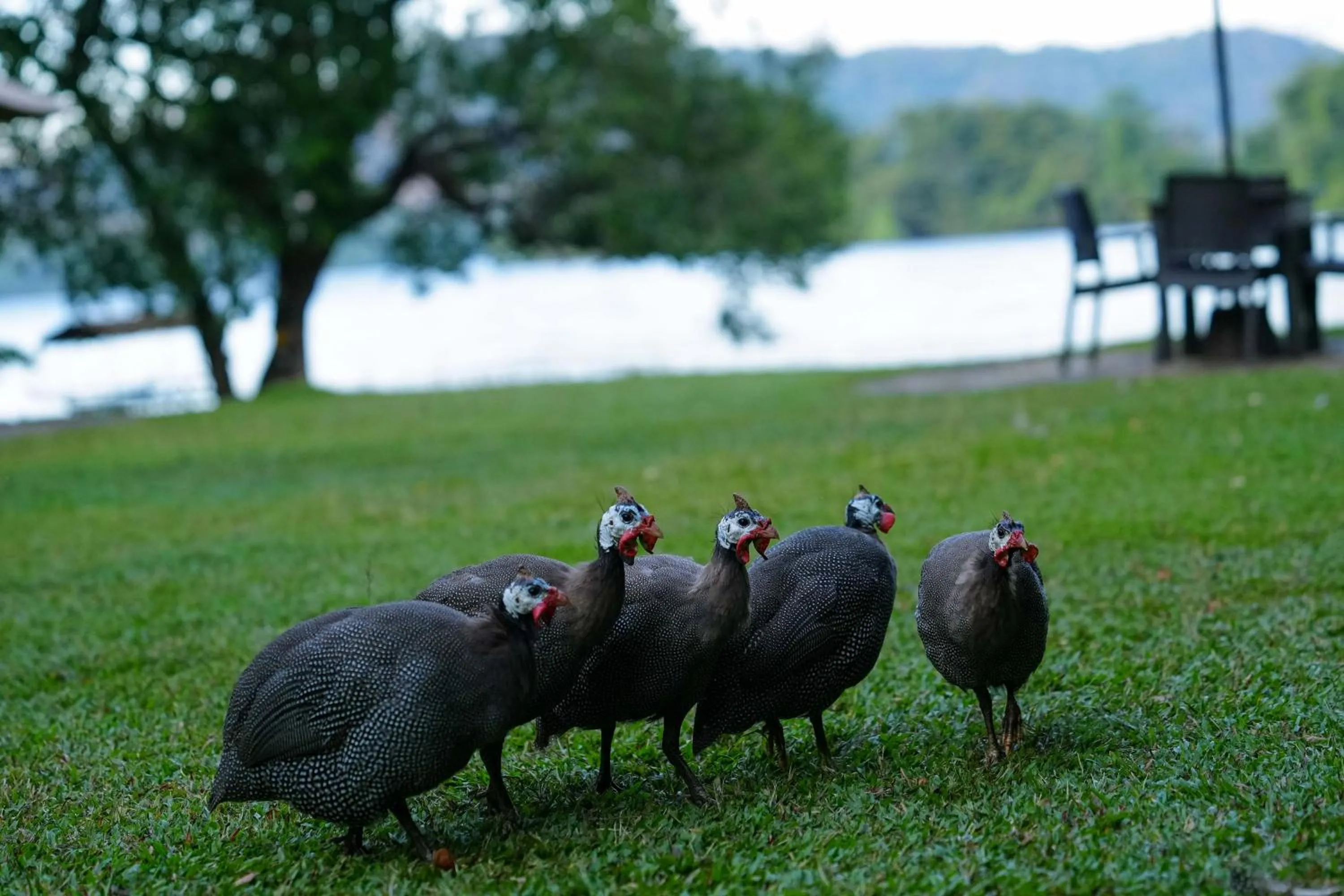 Natural landscape in Mapakada Village - Mahiyanganaya