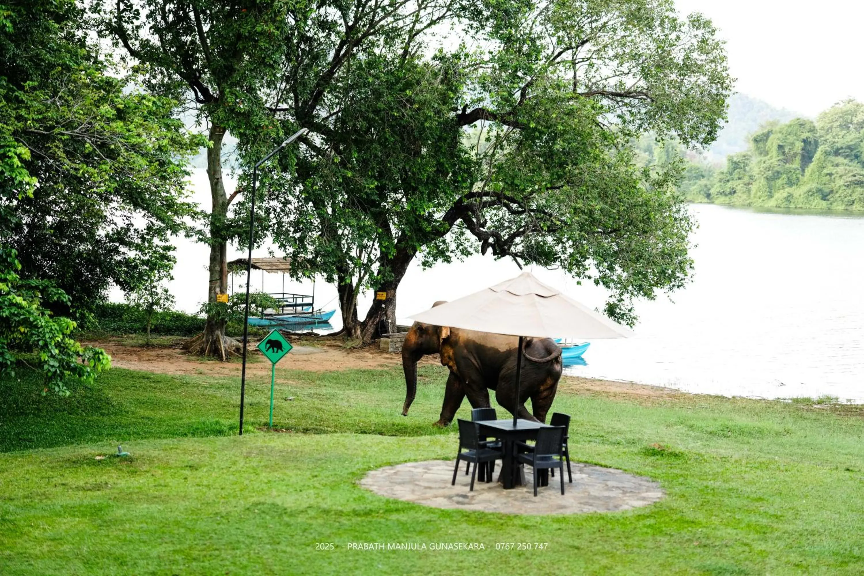 Natural landscape in Mapakada Village - Mahiyanganaya