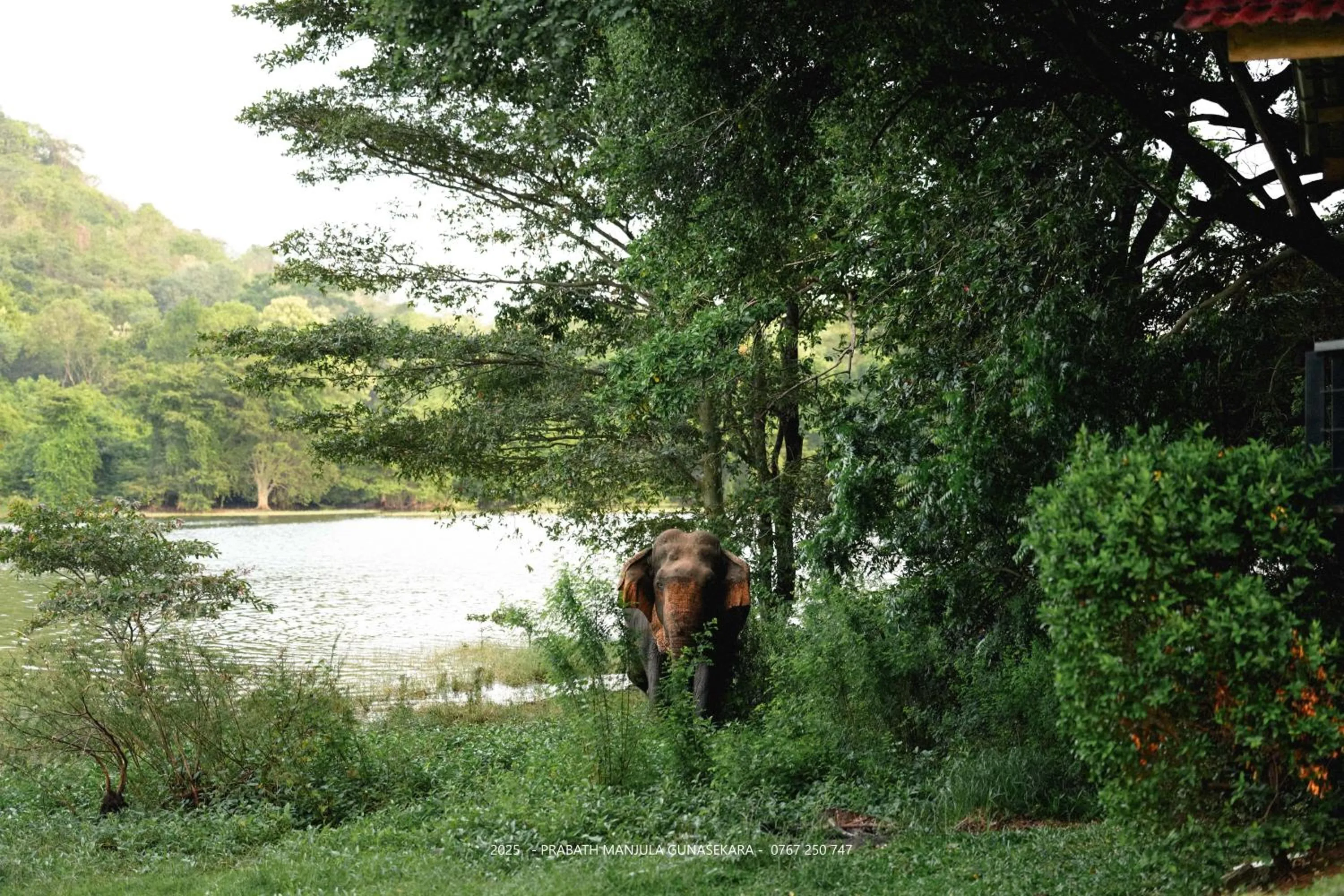 Natural landscape in Mapakada Village - Mahiyanganaya