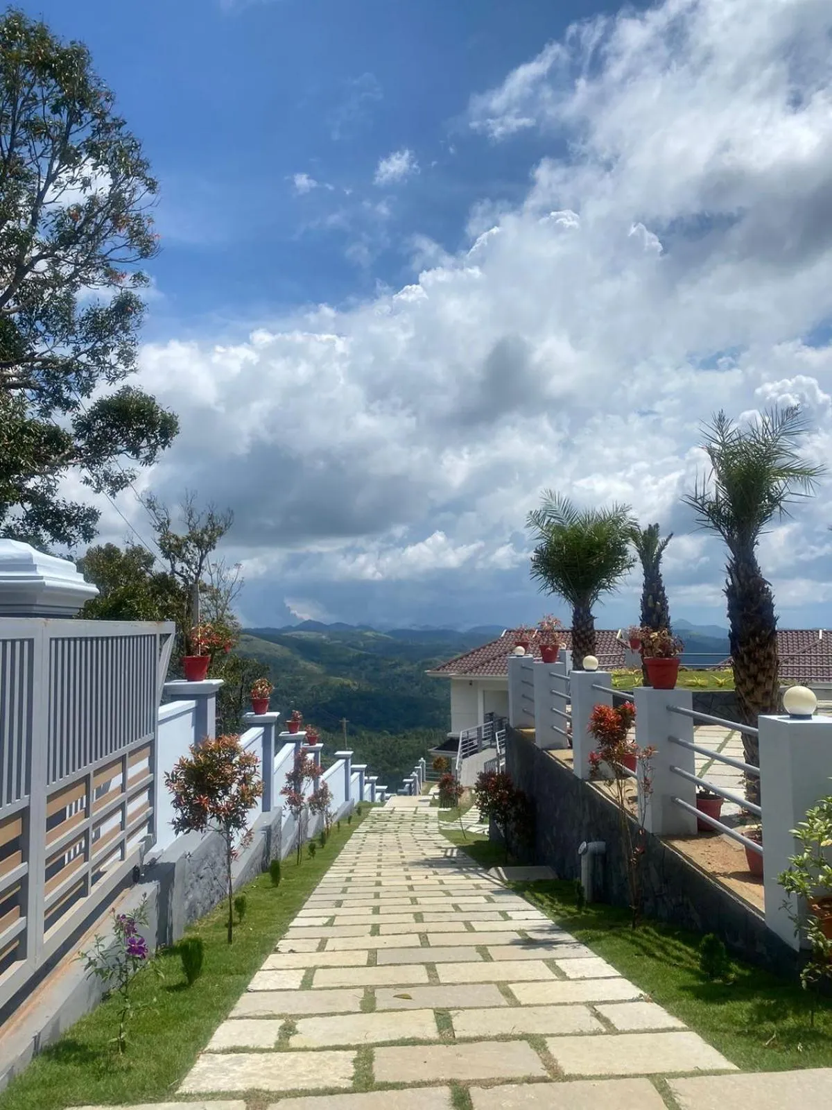 Day in The Windy Mist Resort Munnar