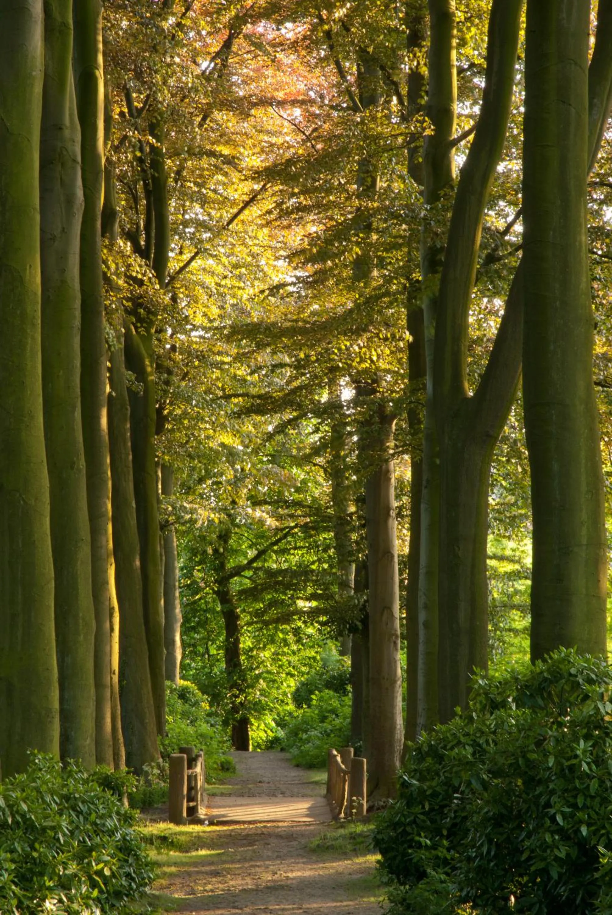 Natural landscape in Leopold Hotel Oudenaarde