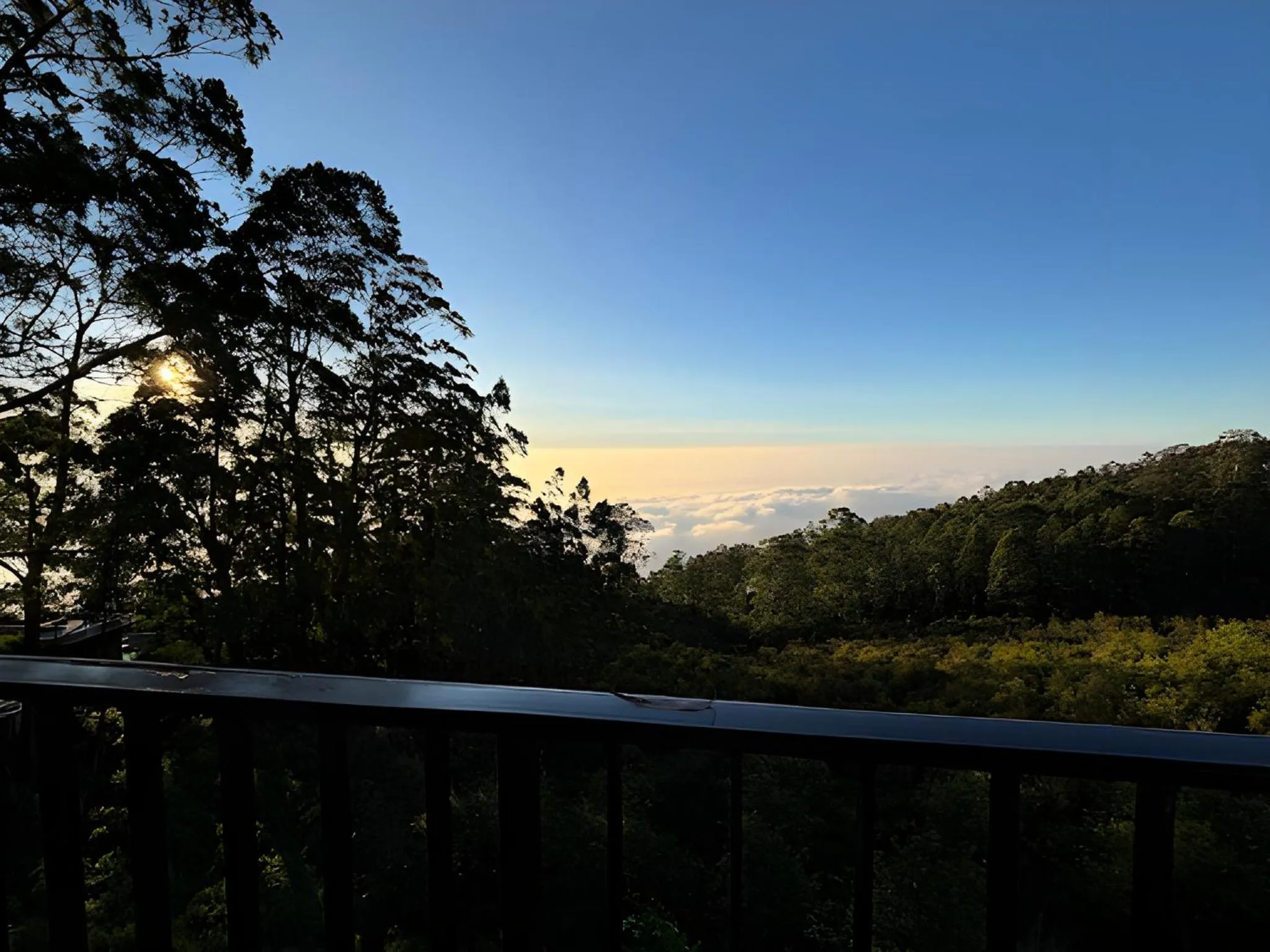 View (from property/room) in Dolphin Nose Retreat