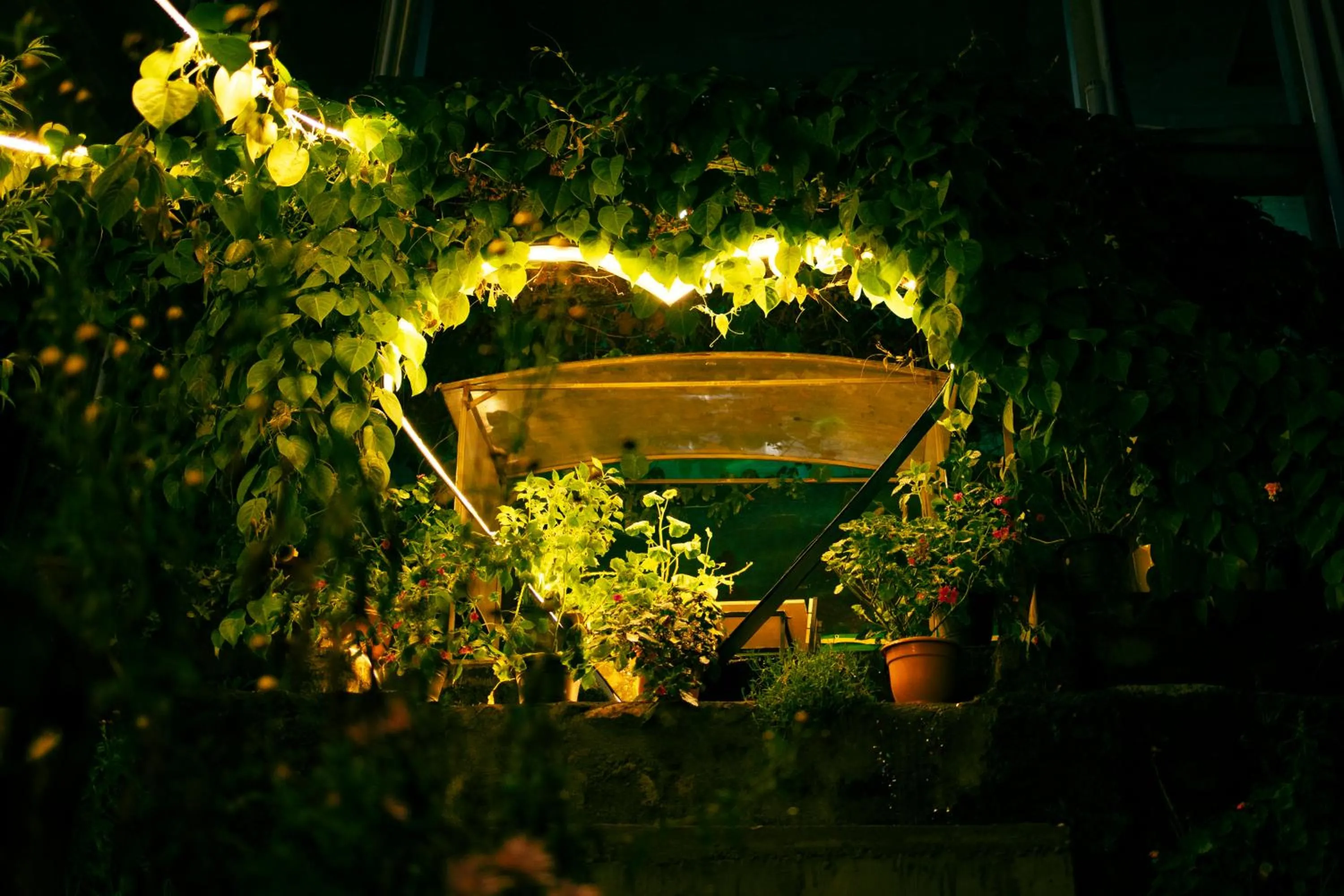 Garden in Dolphin Nose Retreat