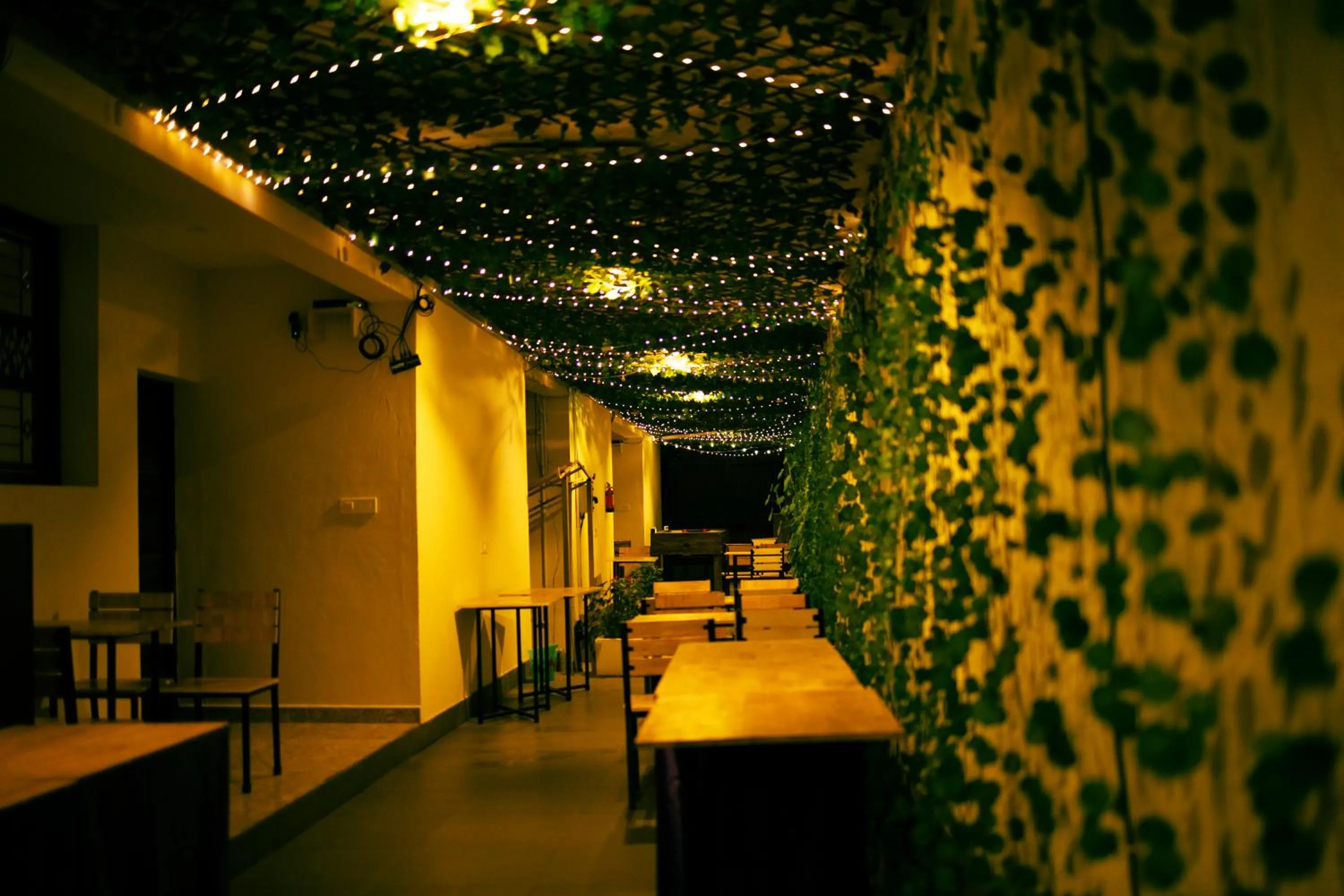 Restaurant/places to eat in Dolphin Nose Retreat