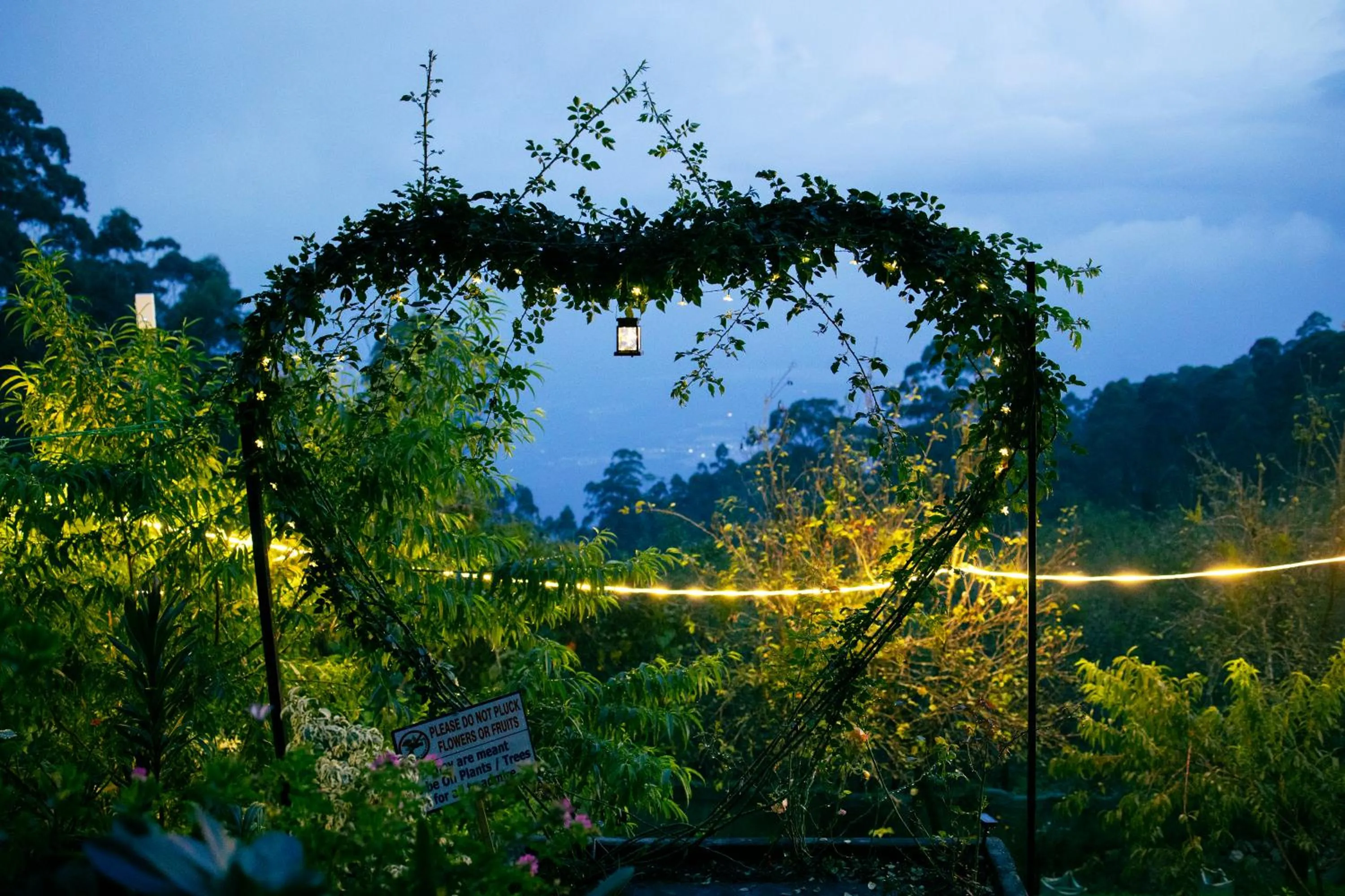 Garden in Dolphin Nose Retreat