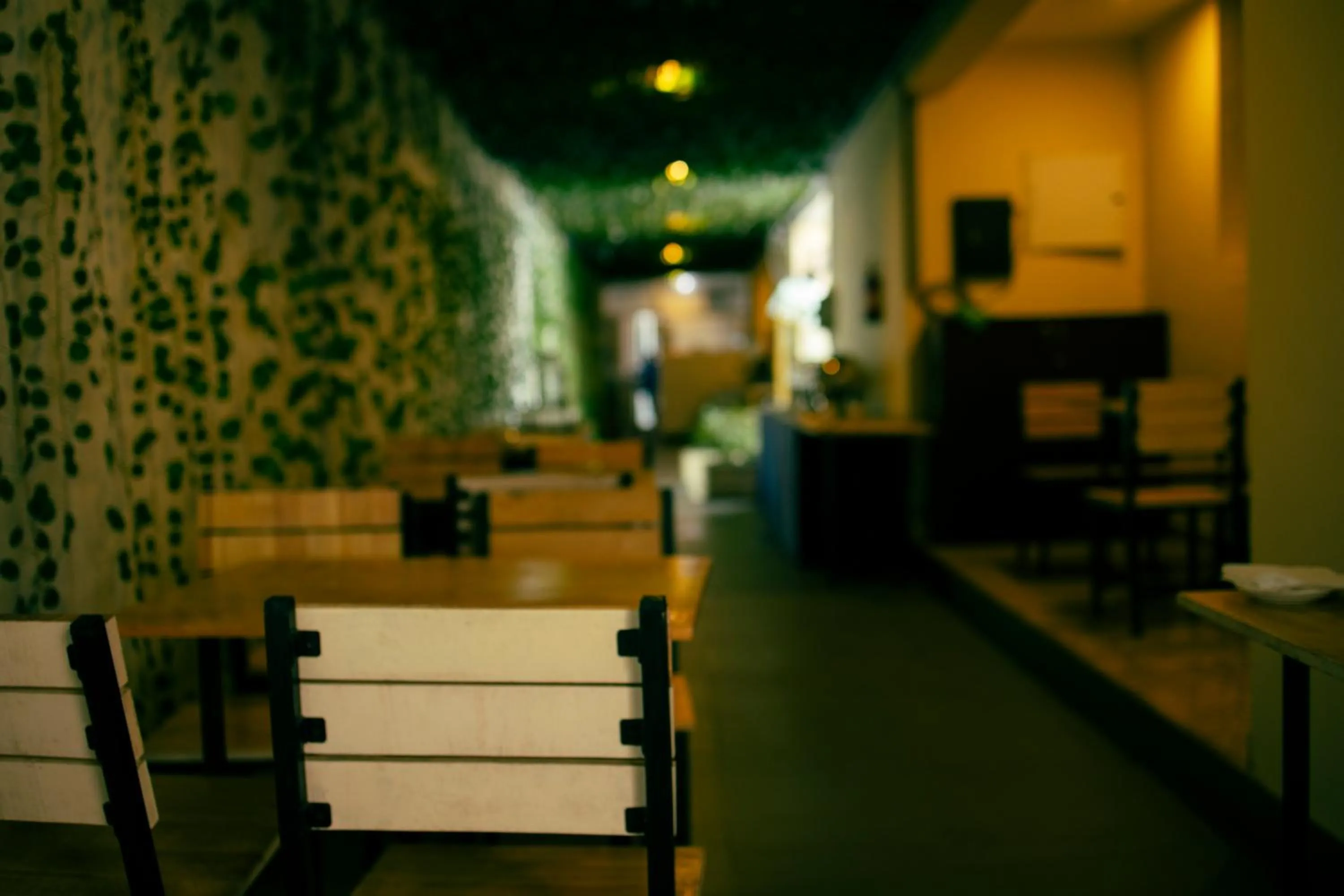 Restaurant/places to eat in Dolphin Nose Retreat