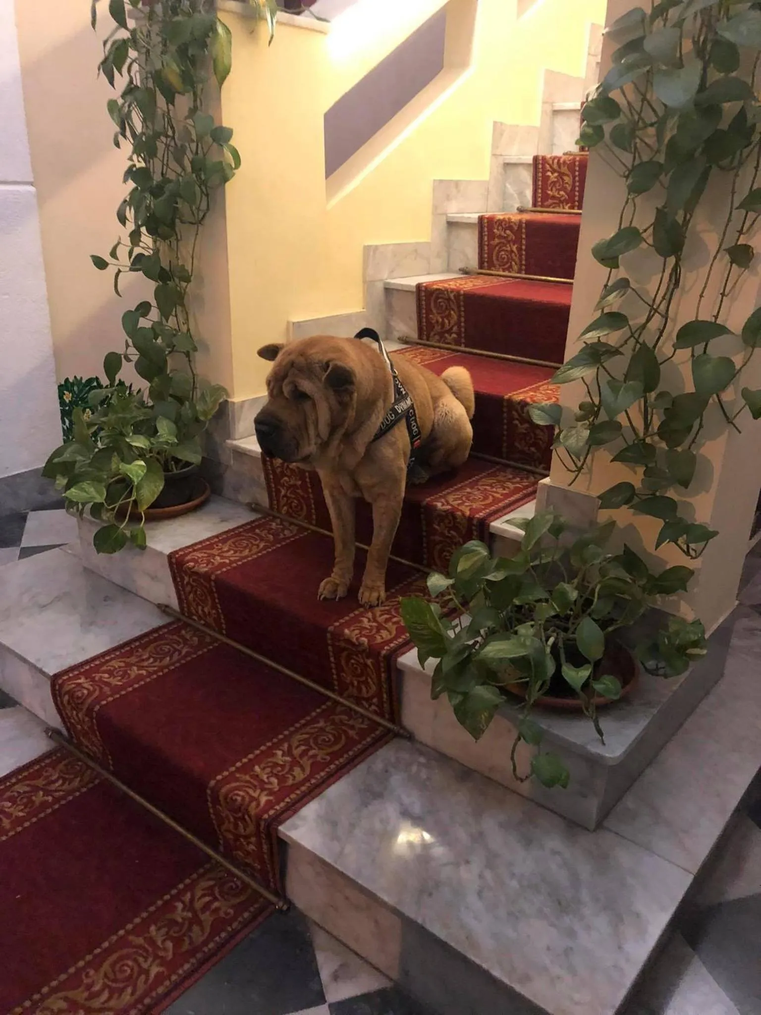 Lobby or reception in B&B Al Piazza Marina