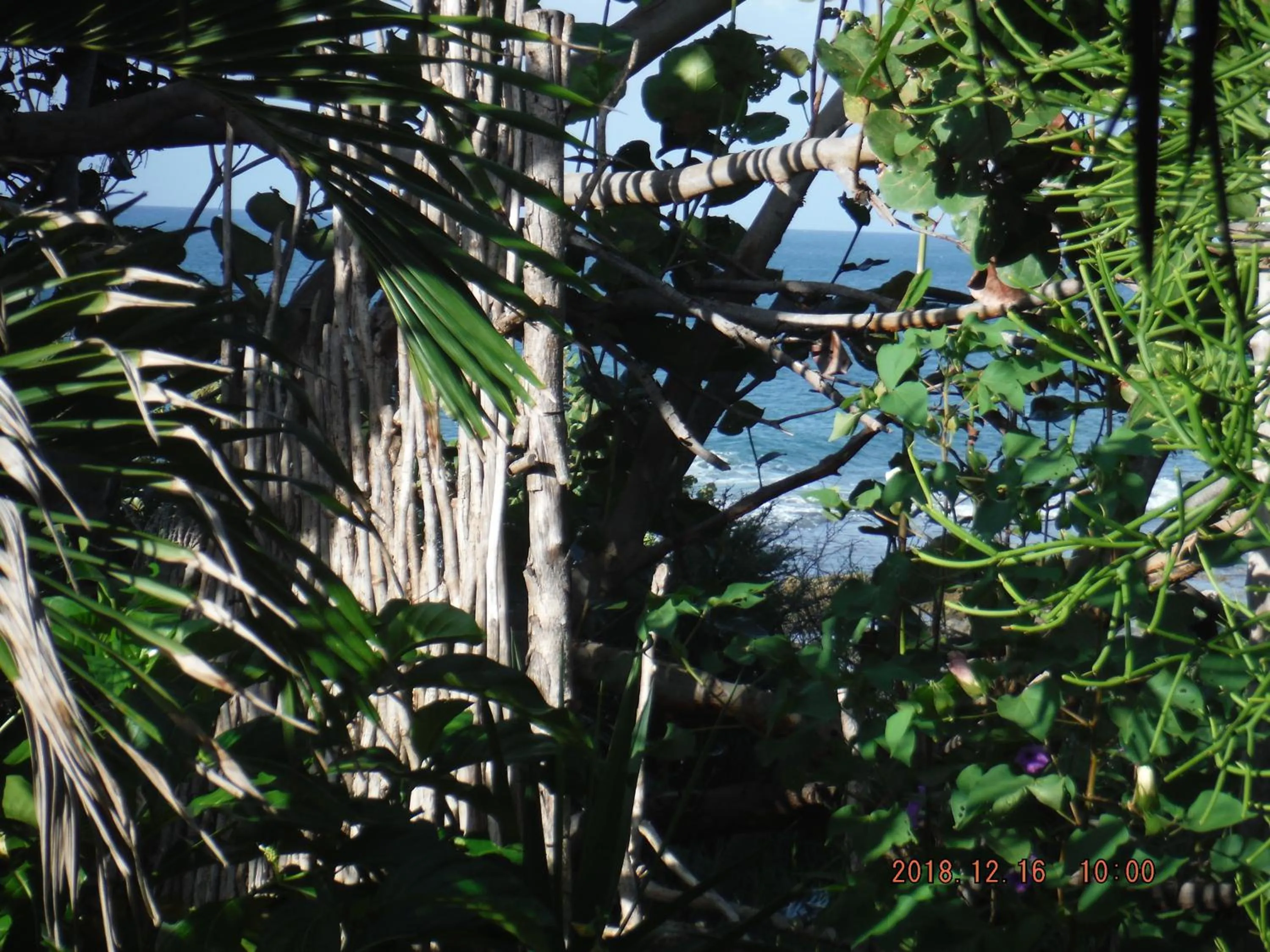 Sea view in KuDehya Guesthouse