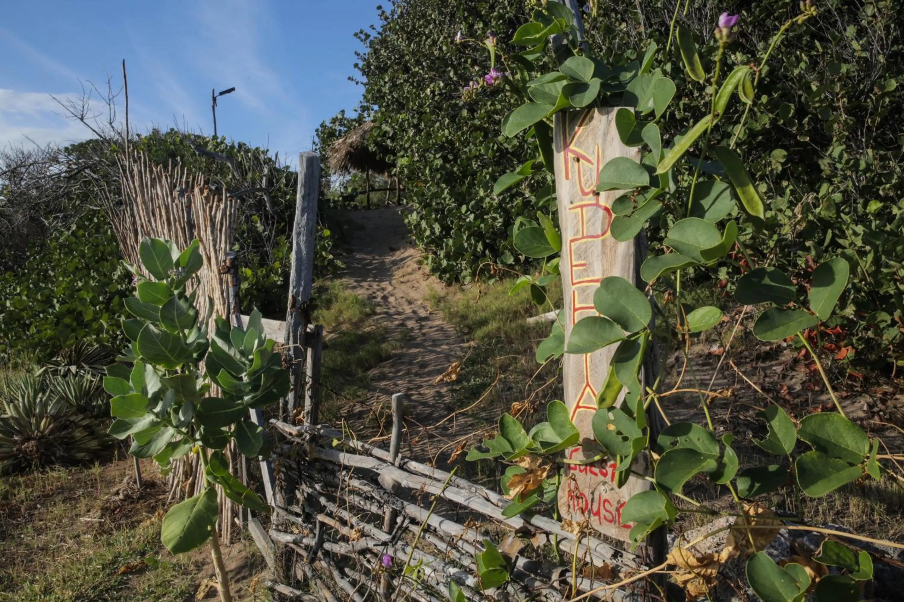 View (from property/room) in KuDehya Guesthouse