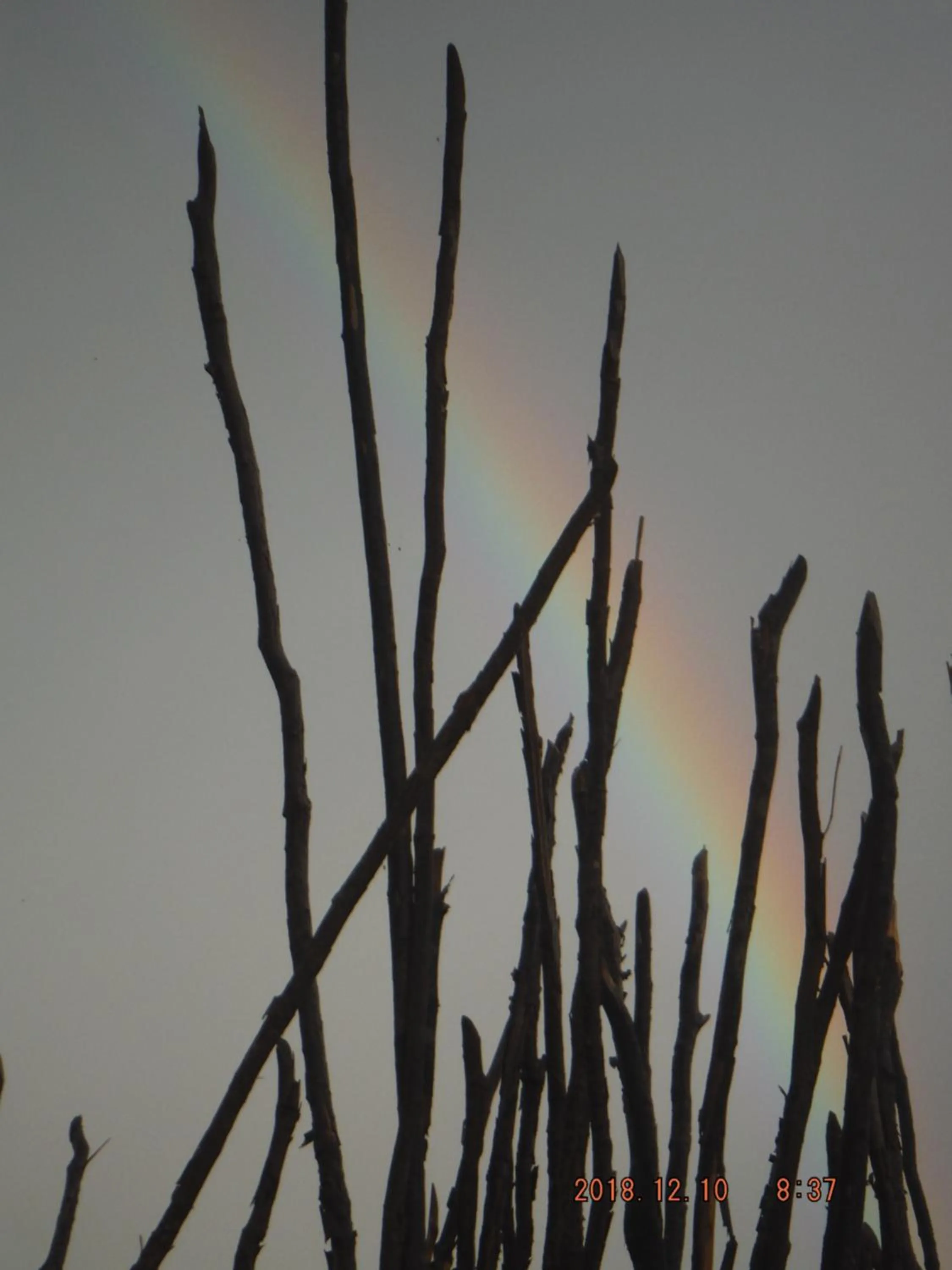 Natural landscape in KuDehya Guesthouse
