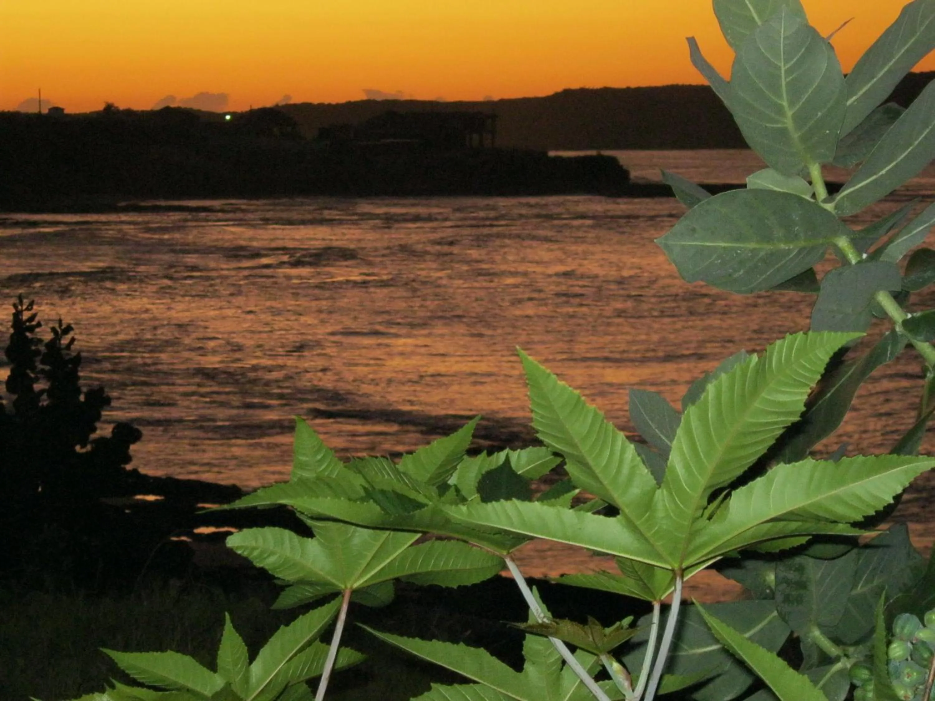 View (from property/room) in KuDehya Guesthouse