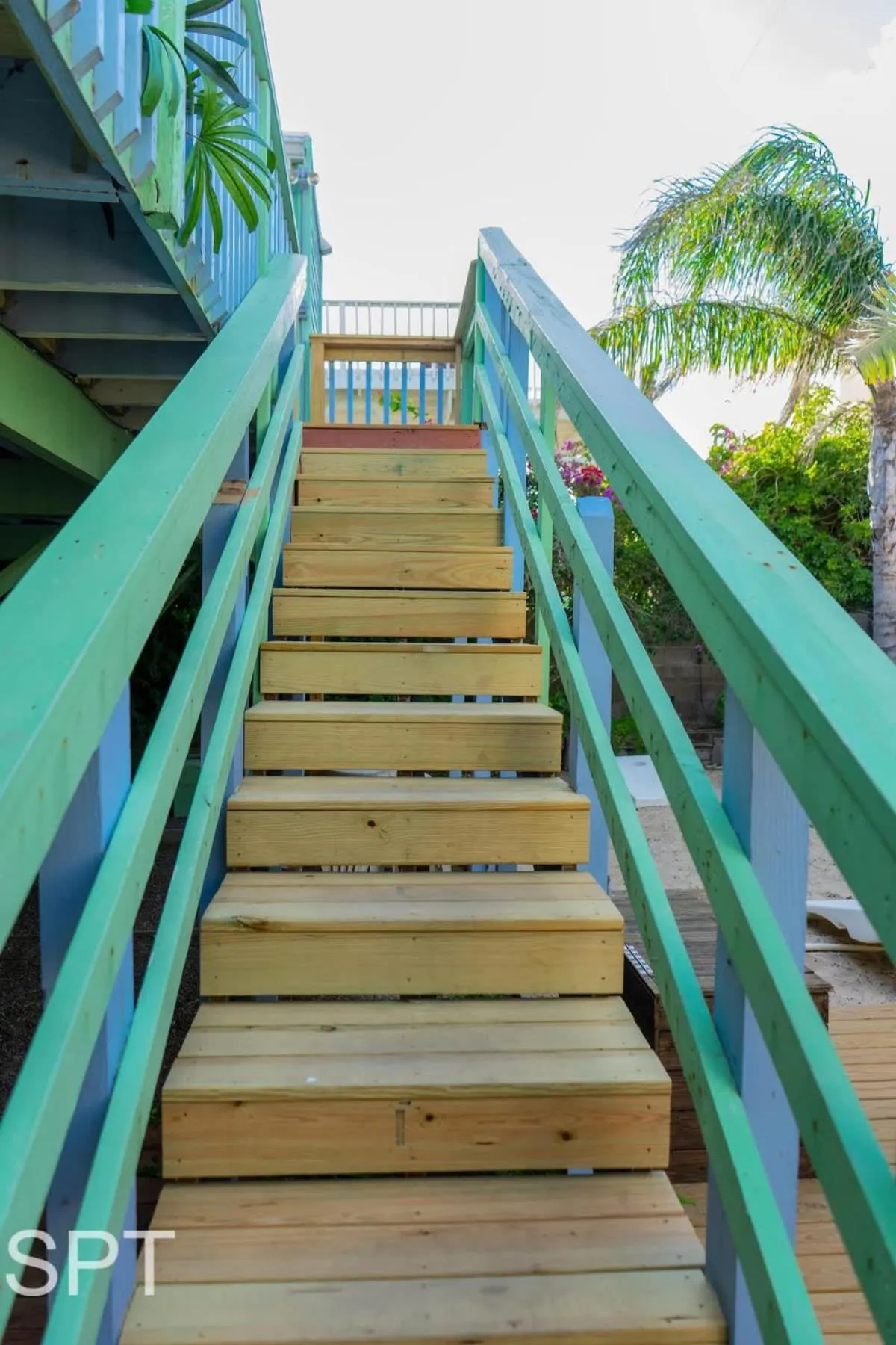 Other in Caribbean Vibes House