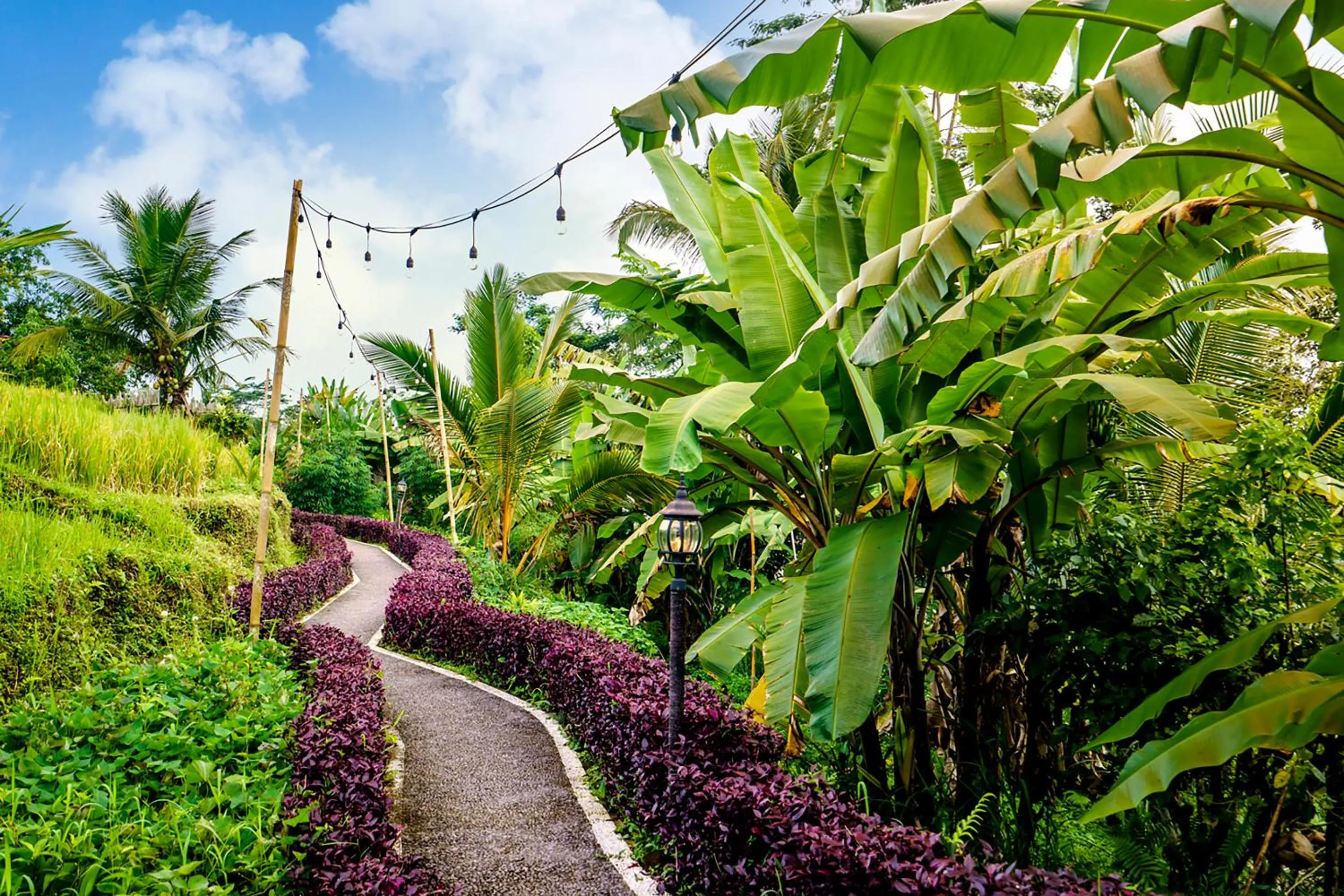 Natural landscape in Bubble Hotel Bali Ubud - Adults Only