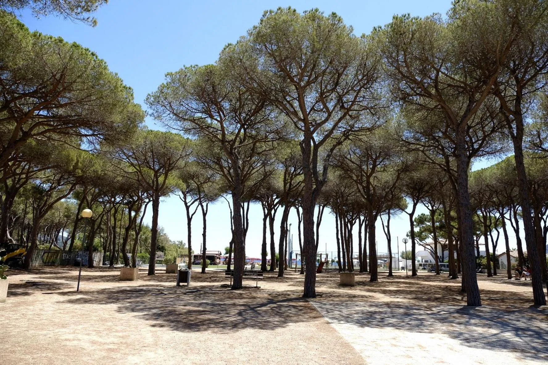 Area and facilities in Hotel Lilly