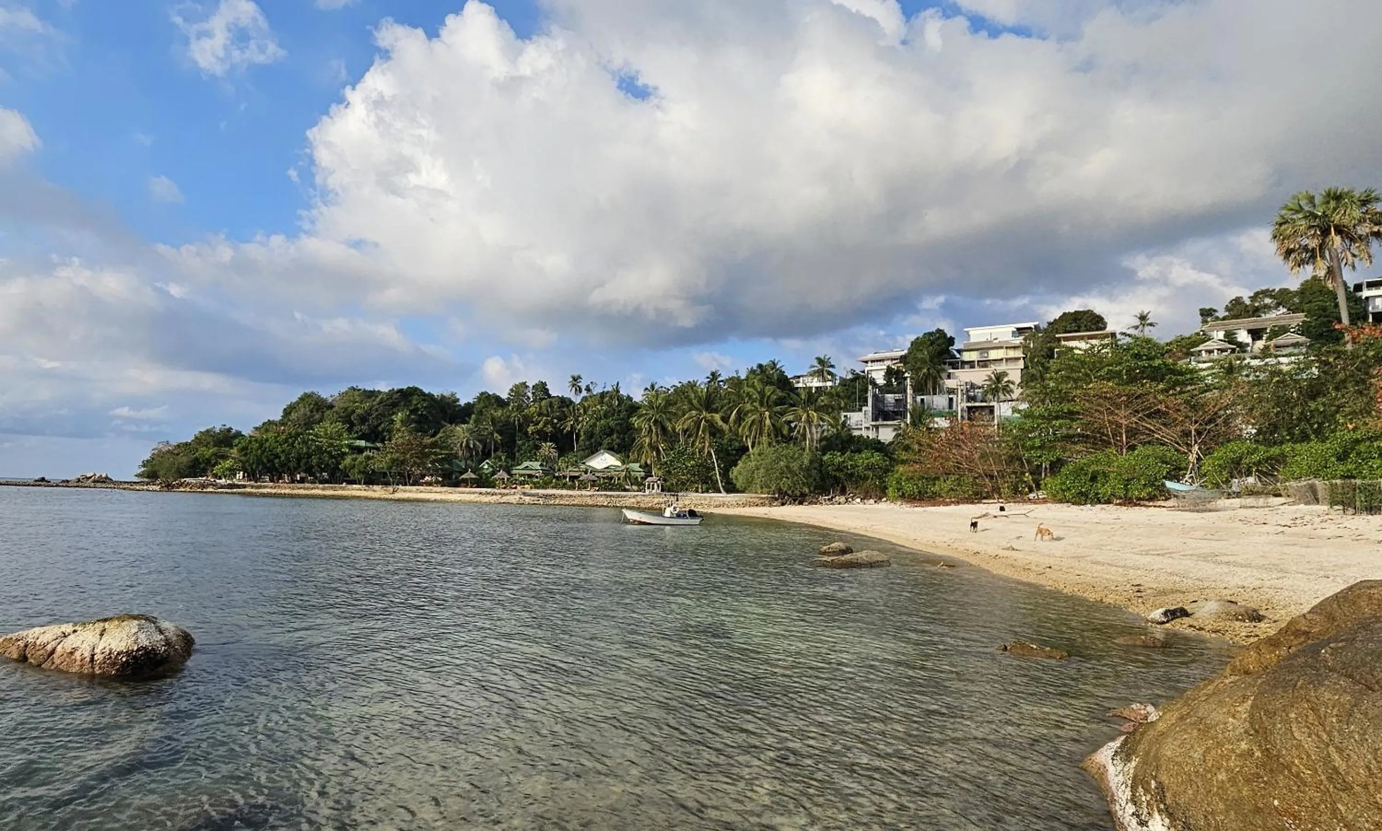 Natural landscape in Sense Asia