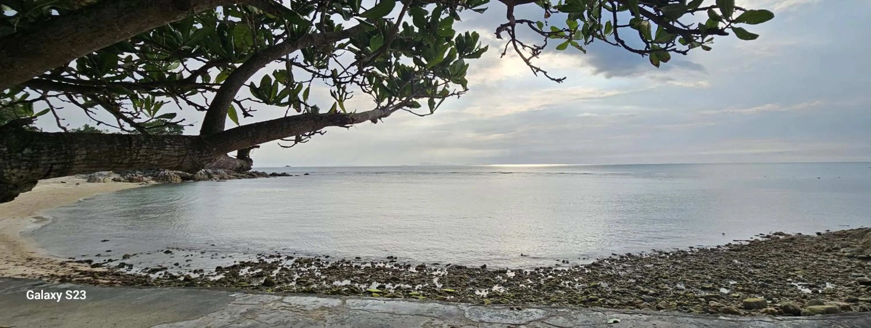 Natural landscape in Sense Asia