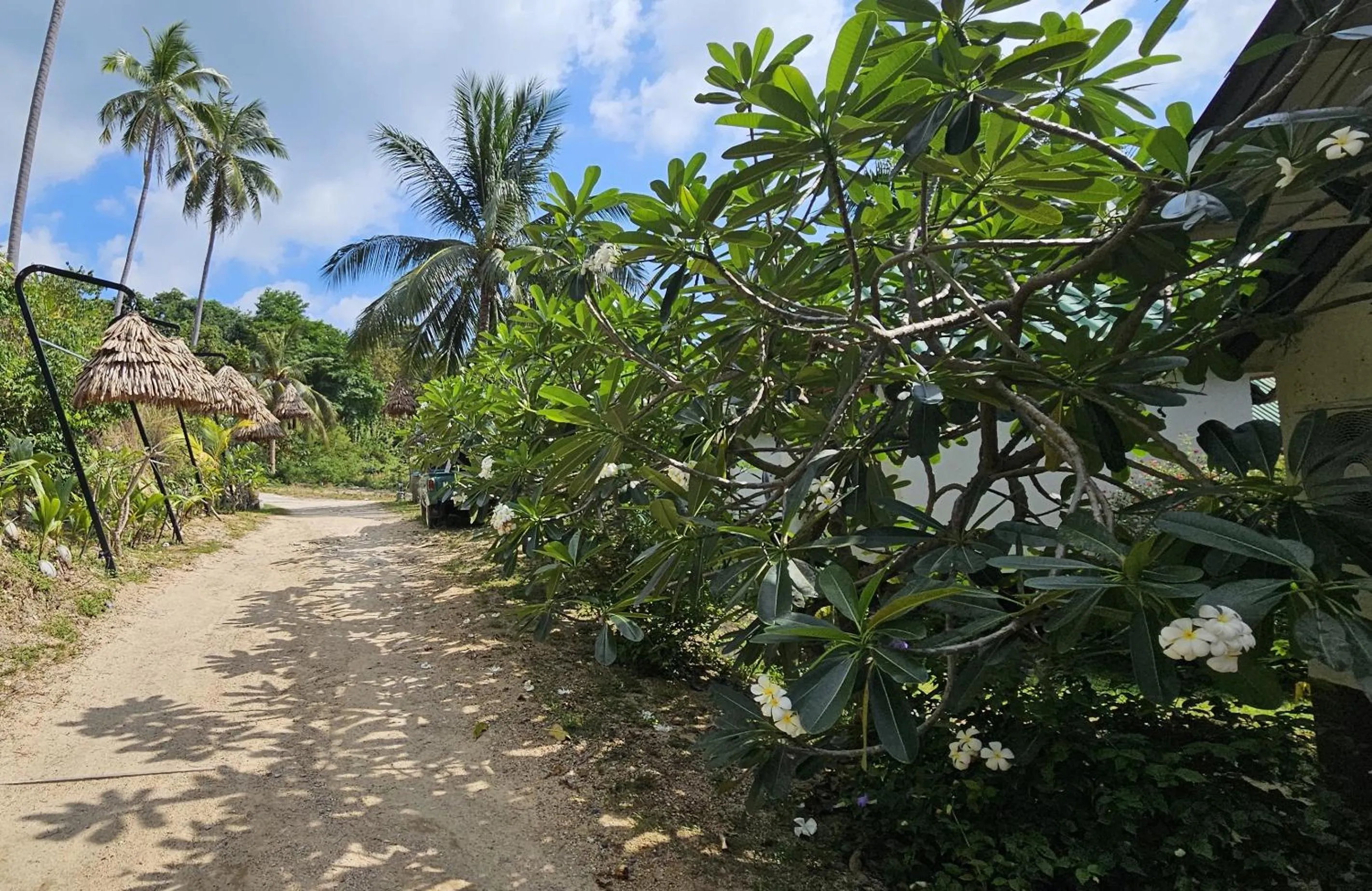Natural landscape in Sense Asia