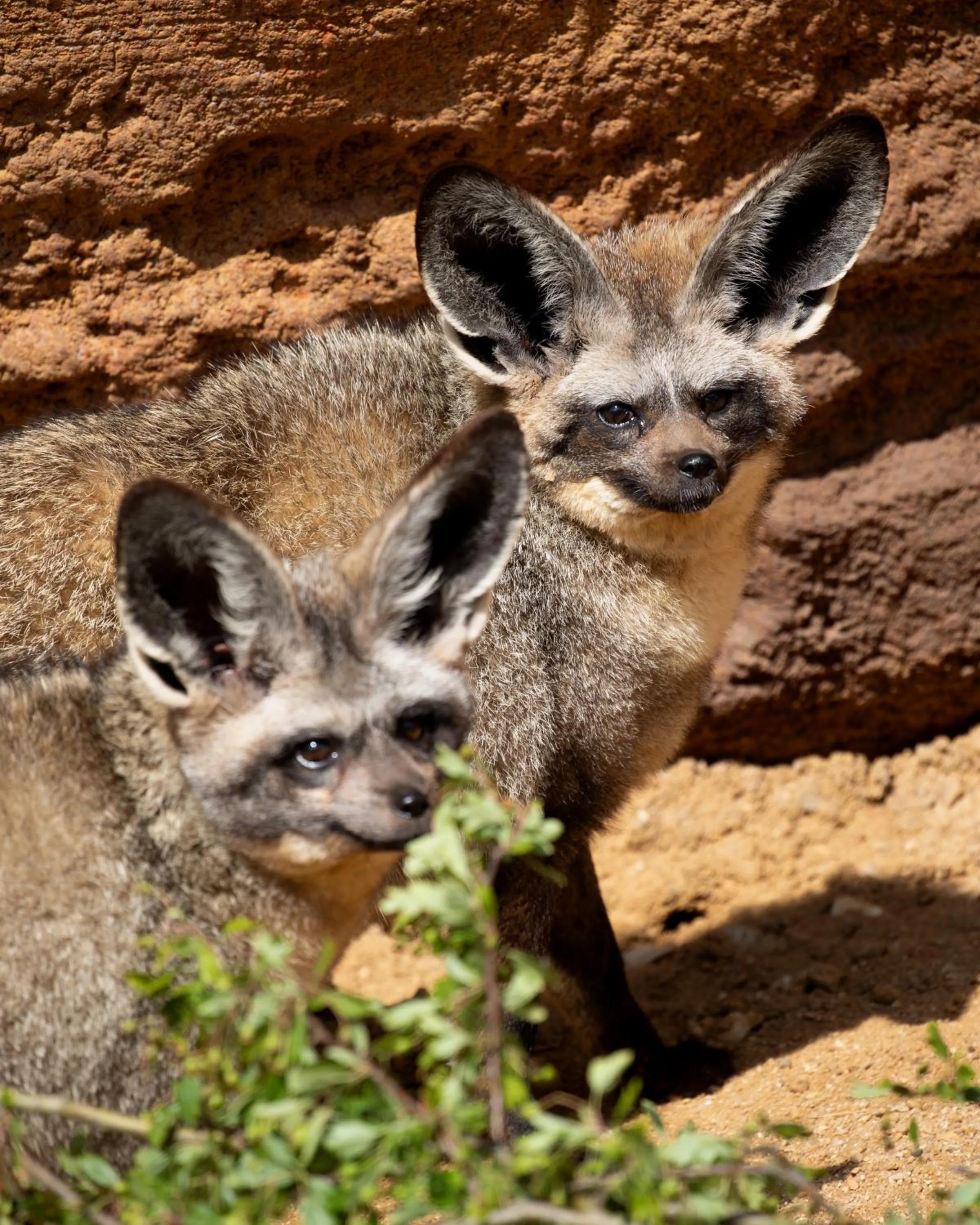Les Rivages de Beauval
