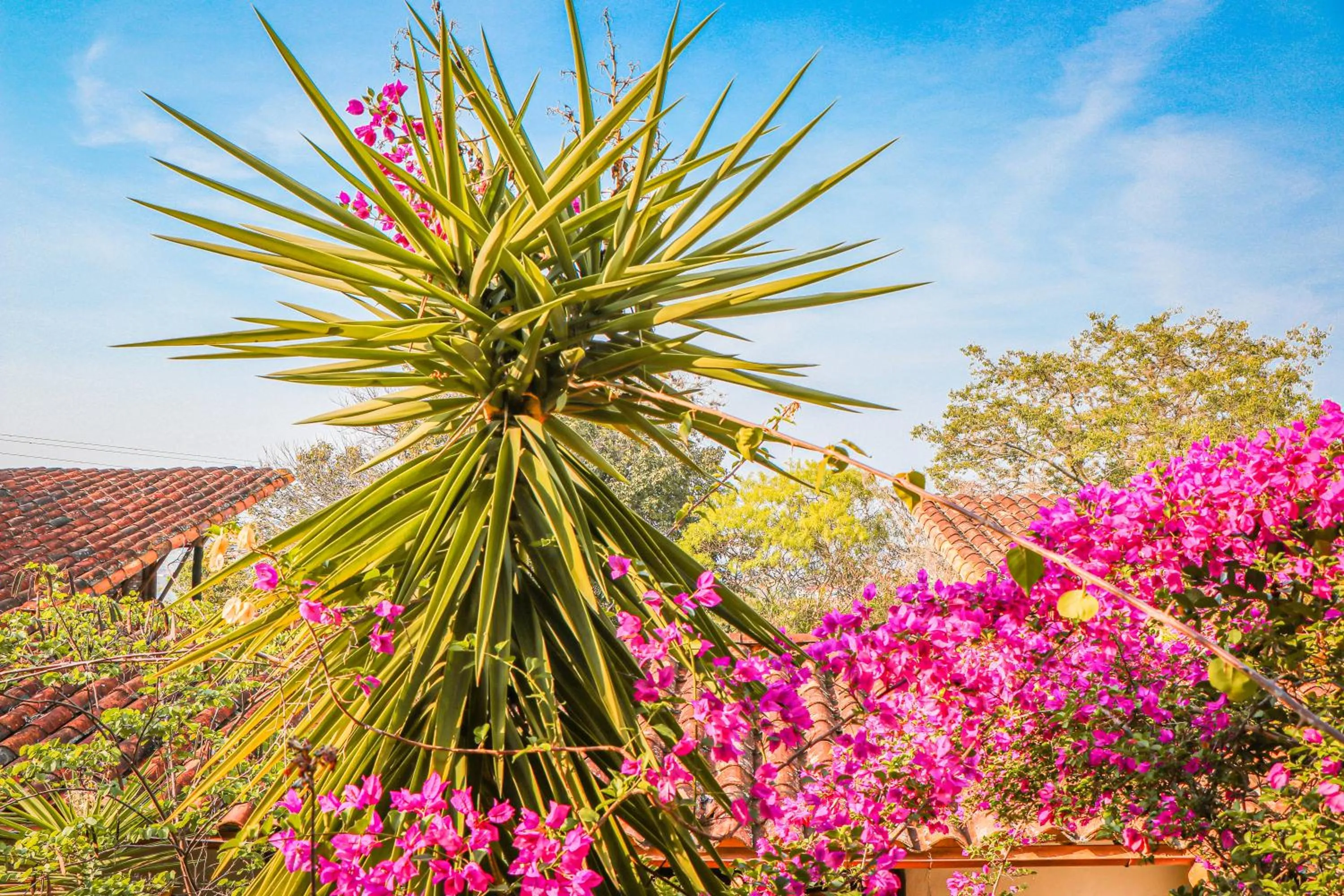 Natural landscape in Hotel Spa El Cogollo By MH