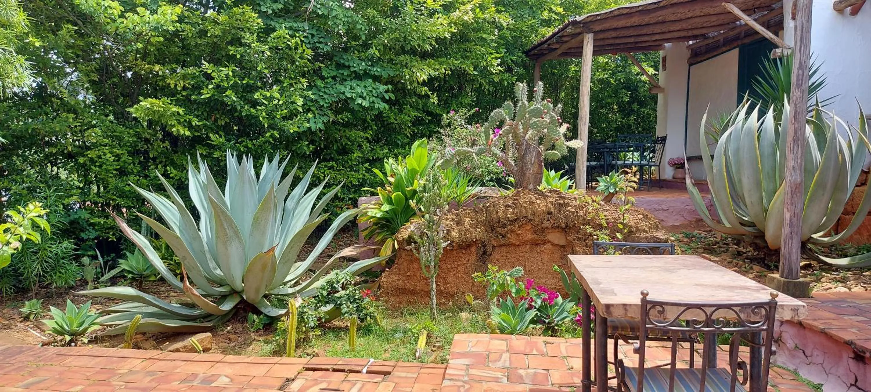 Patio in Hotel Spa El Cogollo By MH