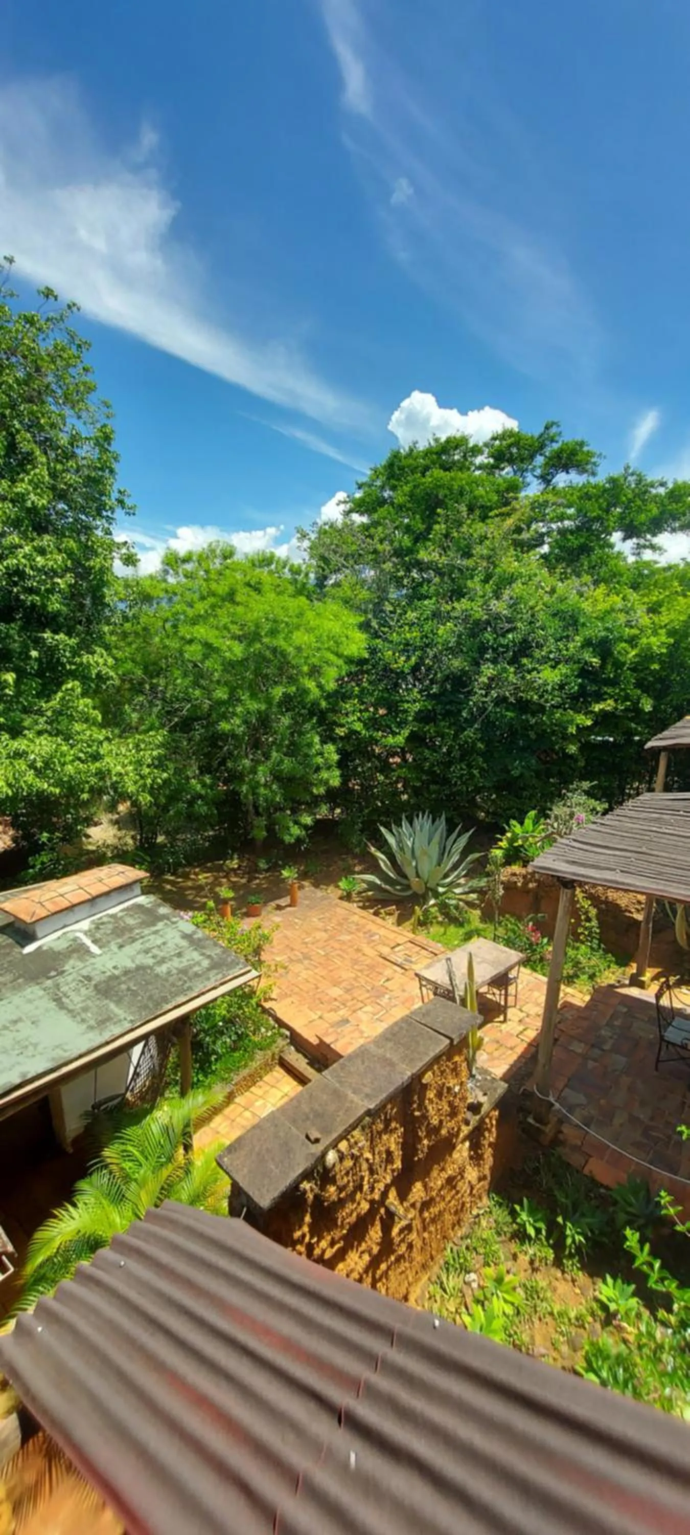 Garden view in Hotel Spa El Cogollo By MH